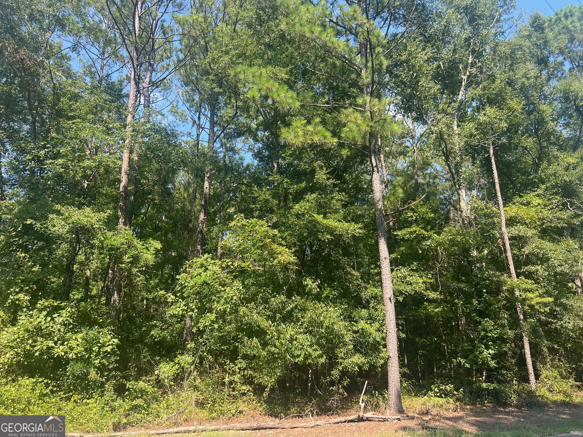 203 Pebble Cove Road Property Photo 1