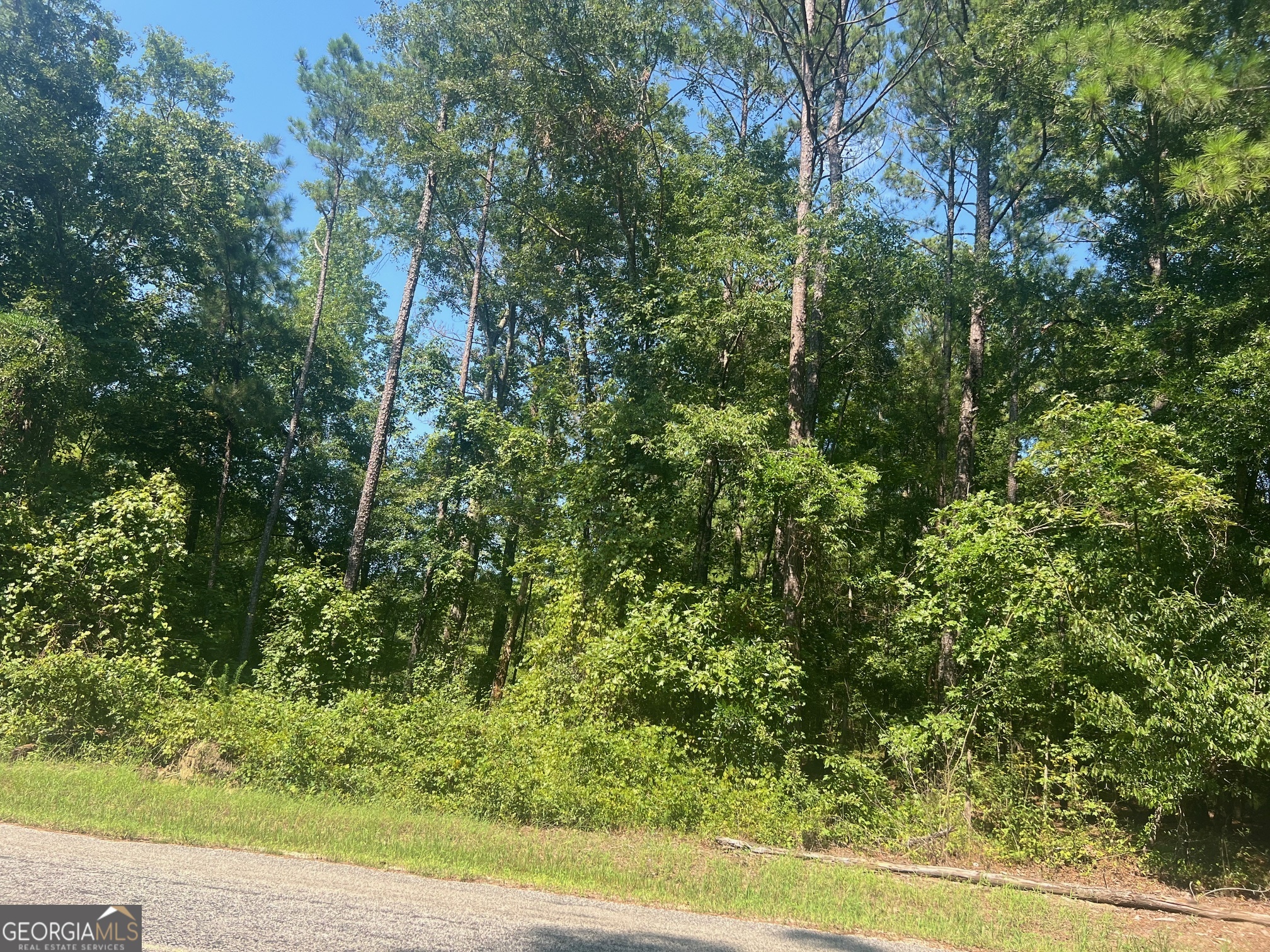 203 Pebble Cove Road Property Photo 2