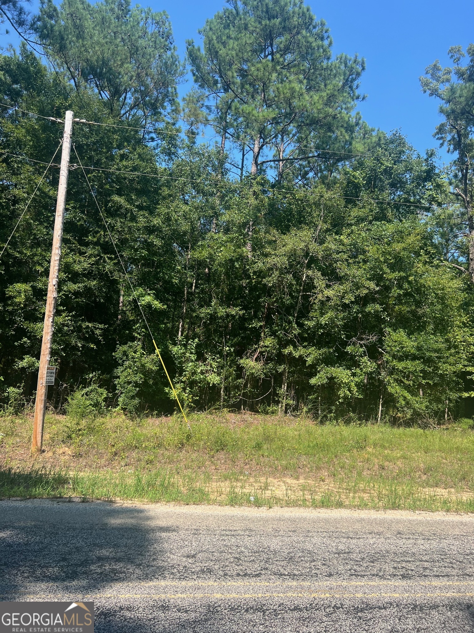 203 Pebble Cove Road Property Photo 5