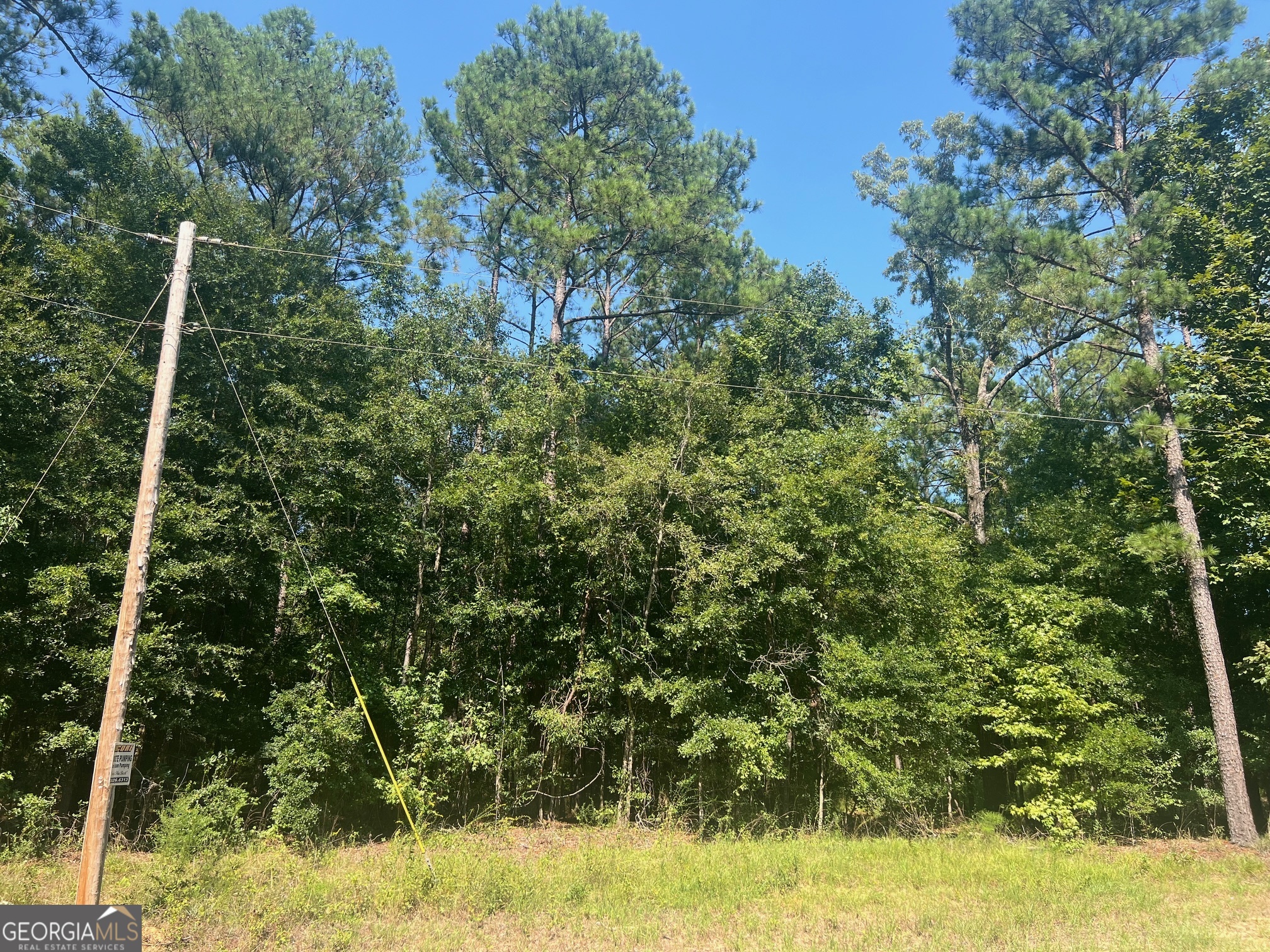 203 Pebble Cove Road Property Photo 6