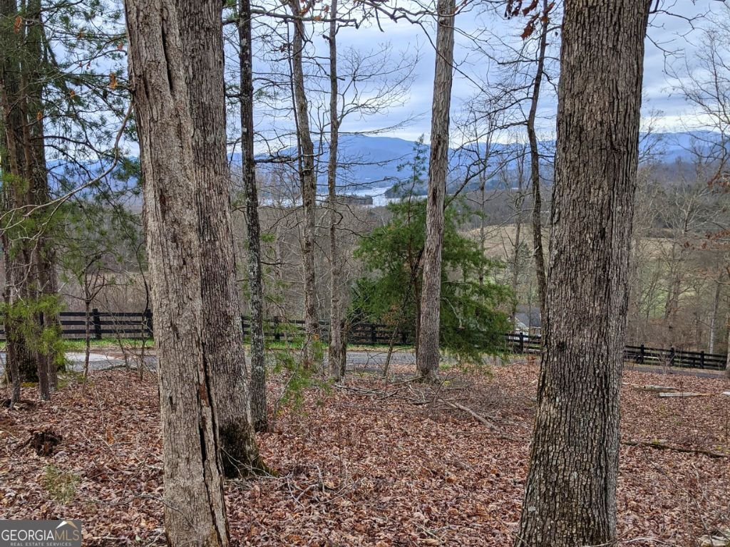 1.58 Ac Chatuge Shores Circle Property Photo 1