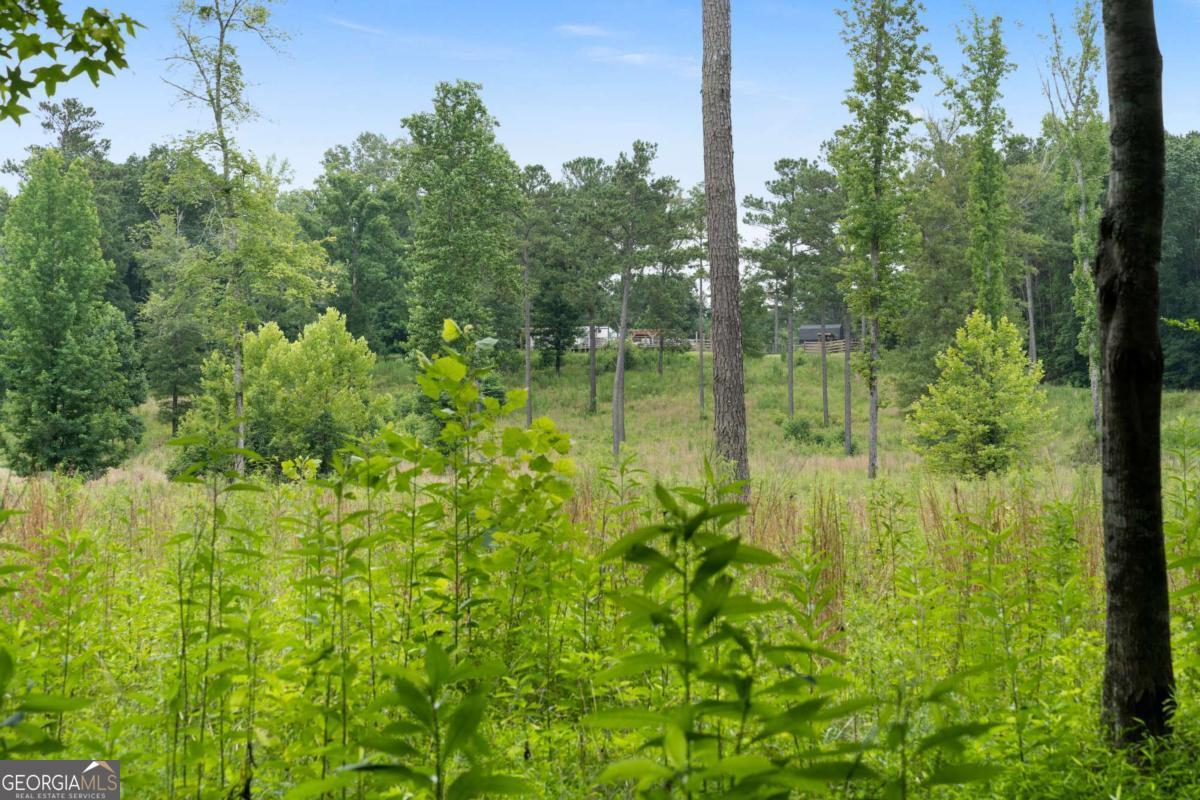 1224 Texas Valley Road Nw Property Photo 66