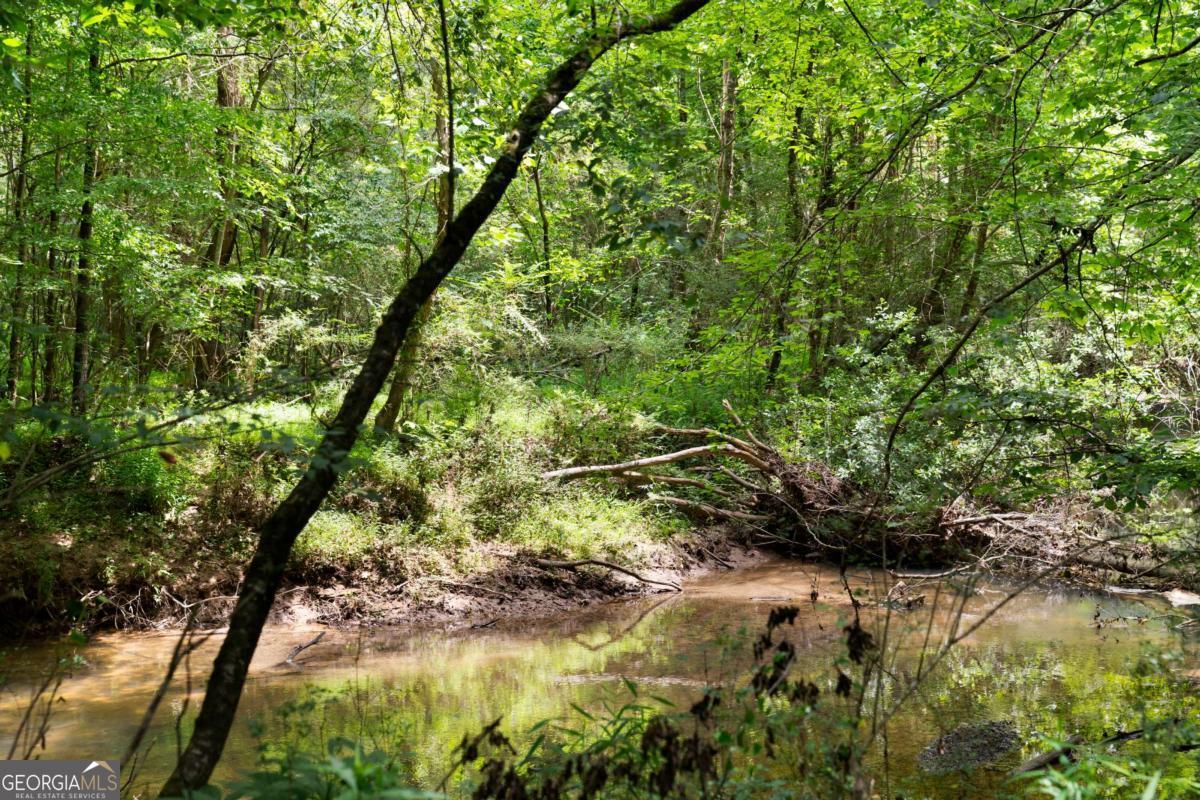 1224 Texas Valley Road Nw Property Photo 71