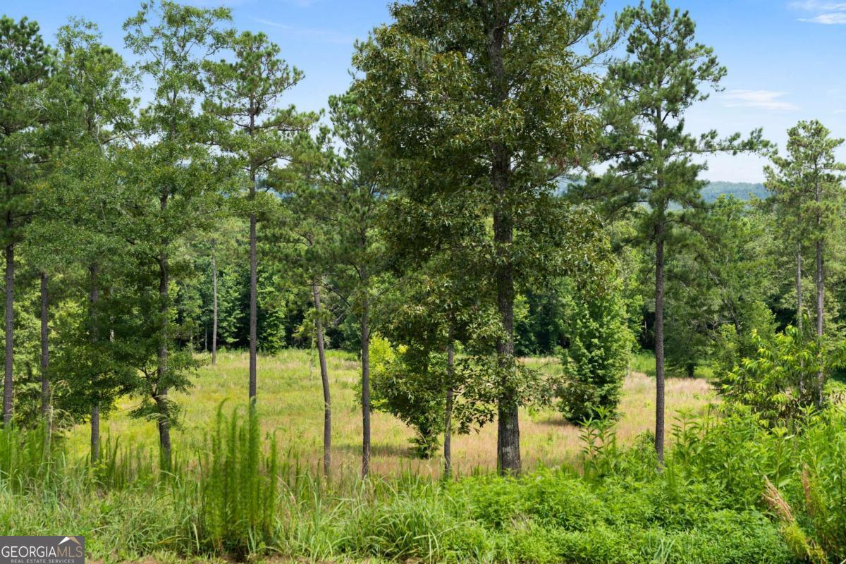 1224 Texas Valley Road Nw Property Photo 77