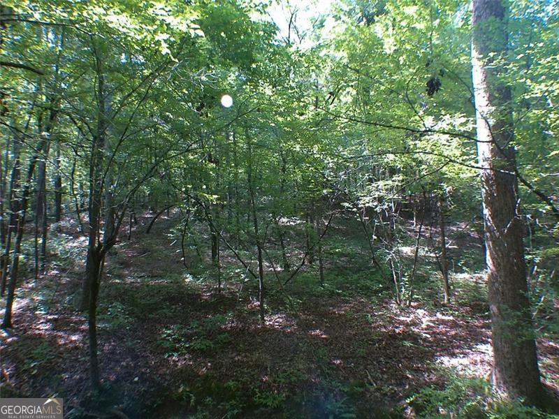 0 Briarpatch Drive Property Photo 3