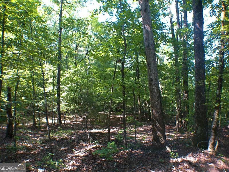 0 Briarpatch Drive Property Photo 4
