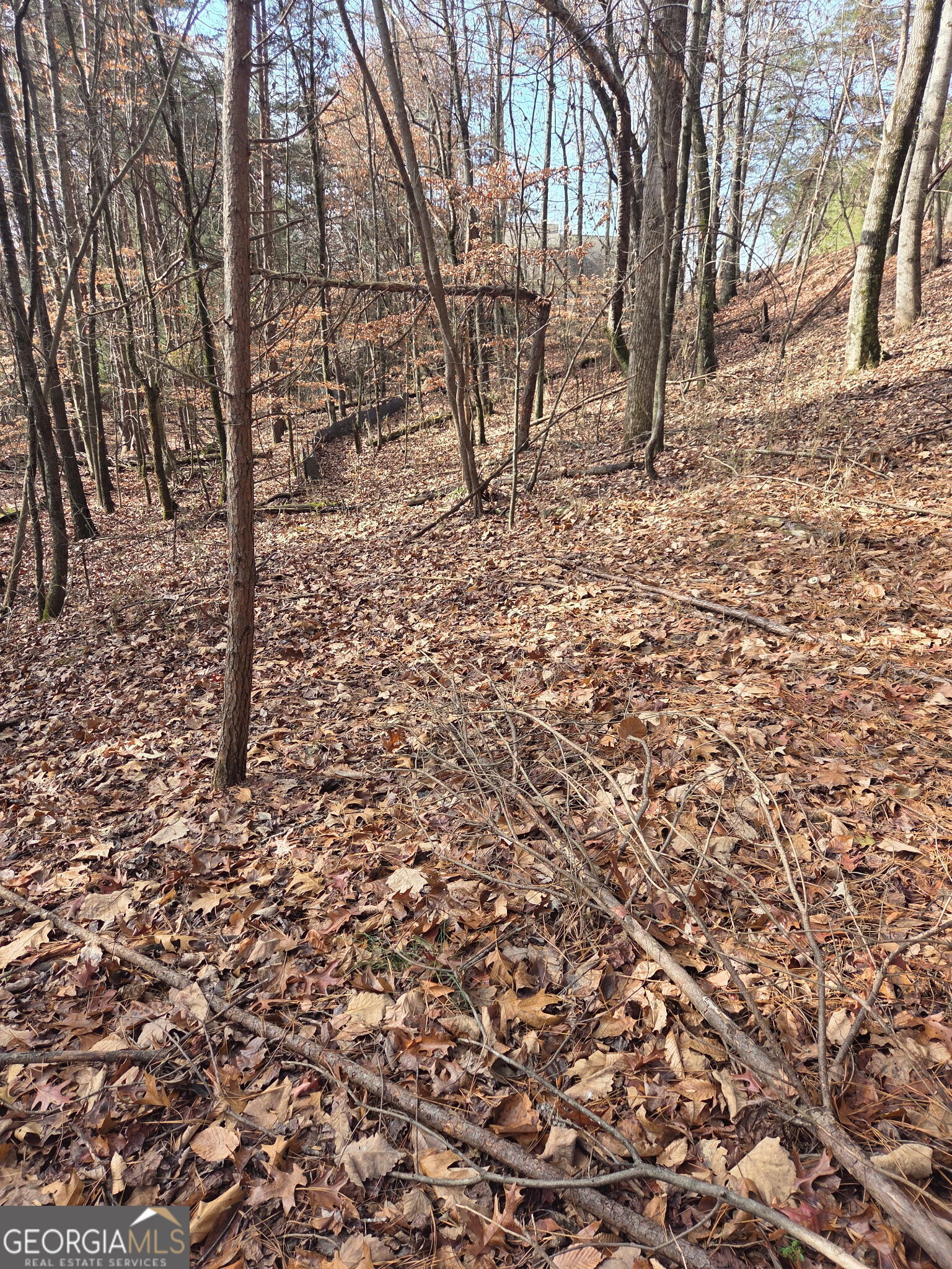 3524 Lake Ridge Drive Property Photo 10