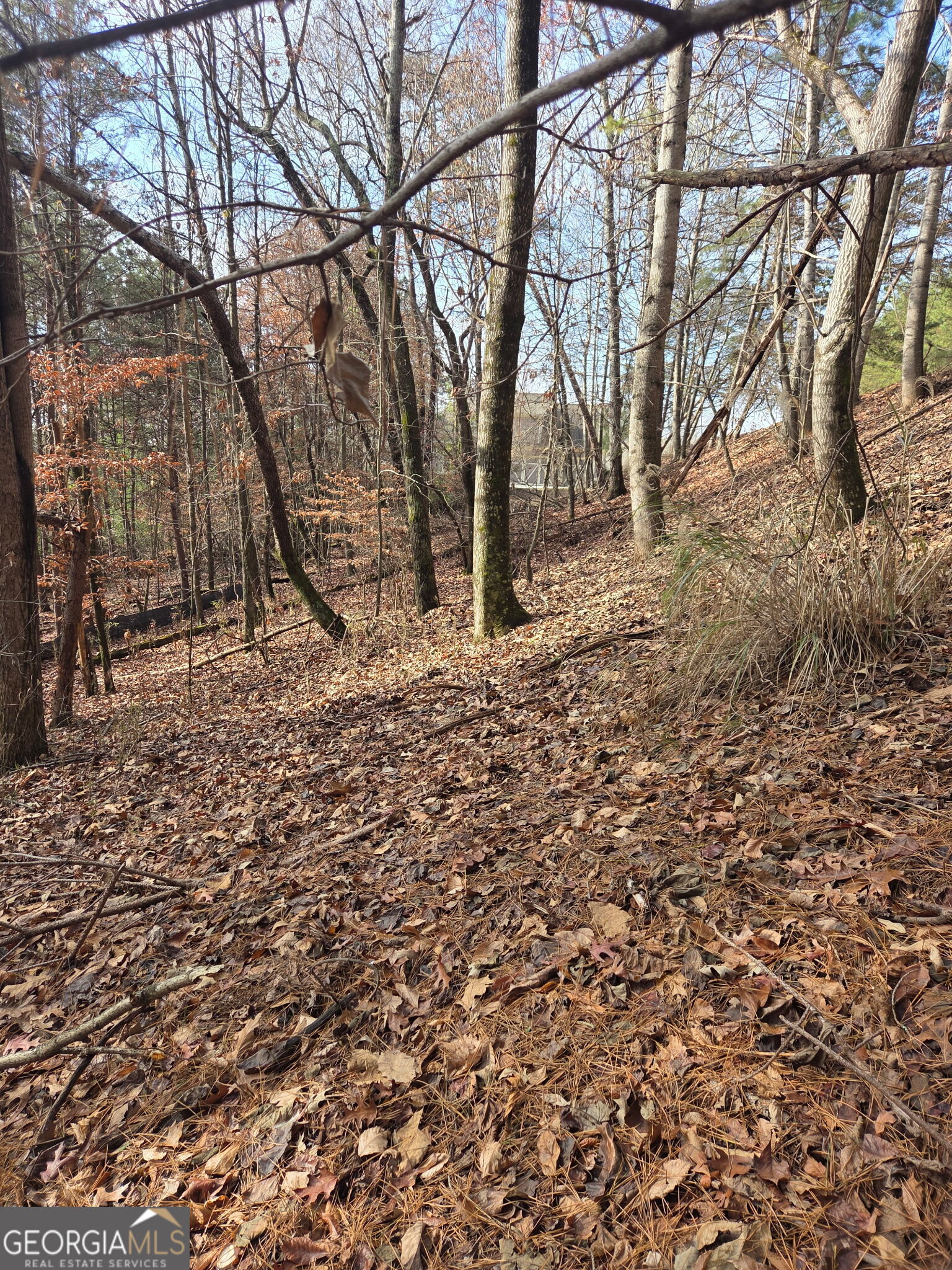 3524 Lake Ridge Drive Property Photo 11