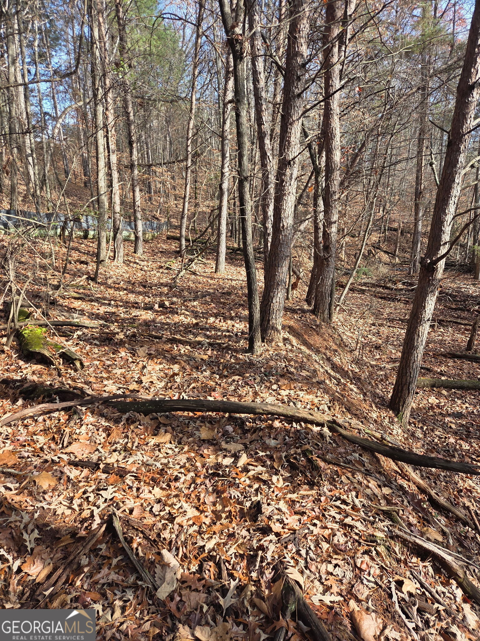 3524 Lake Ridge Drive Property Photo 13