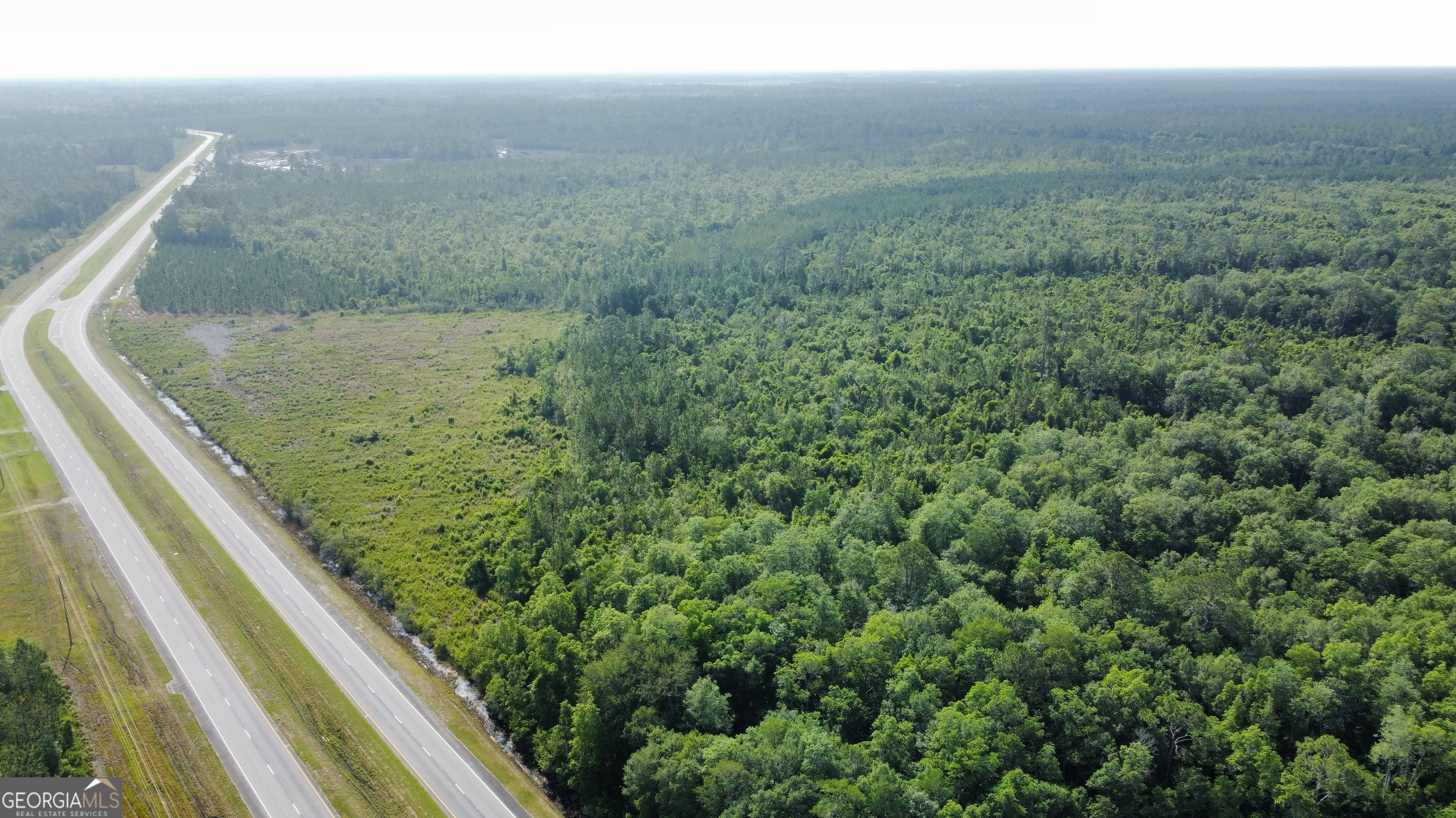 0 Highway 84 # 1 Property Photo 1