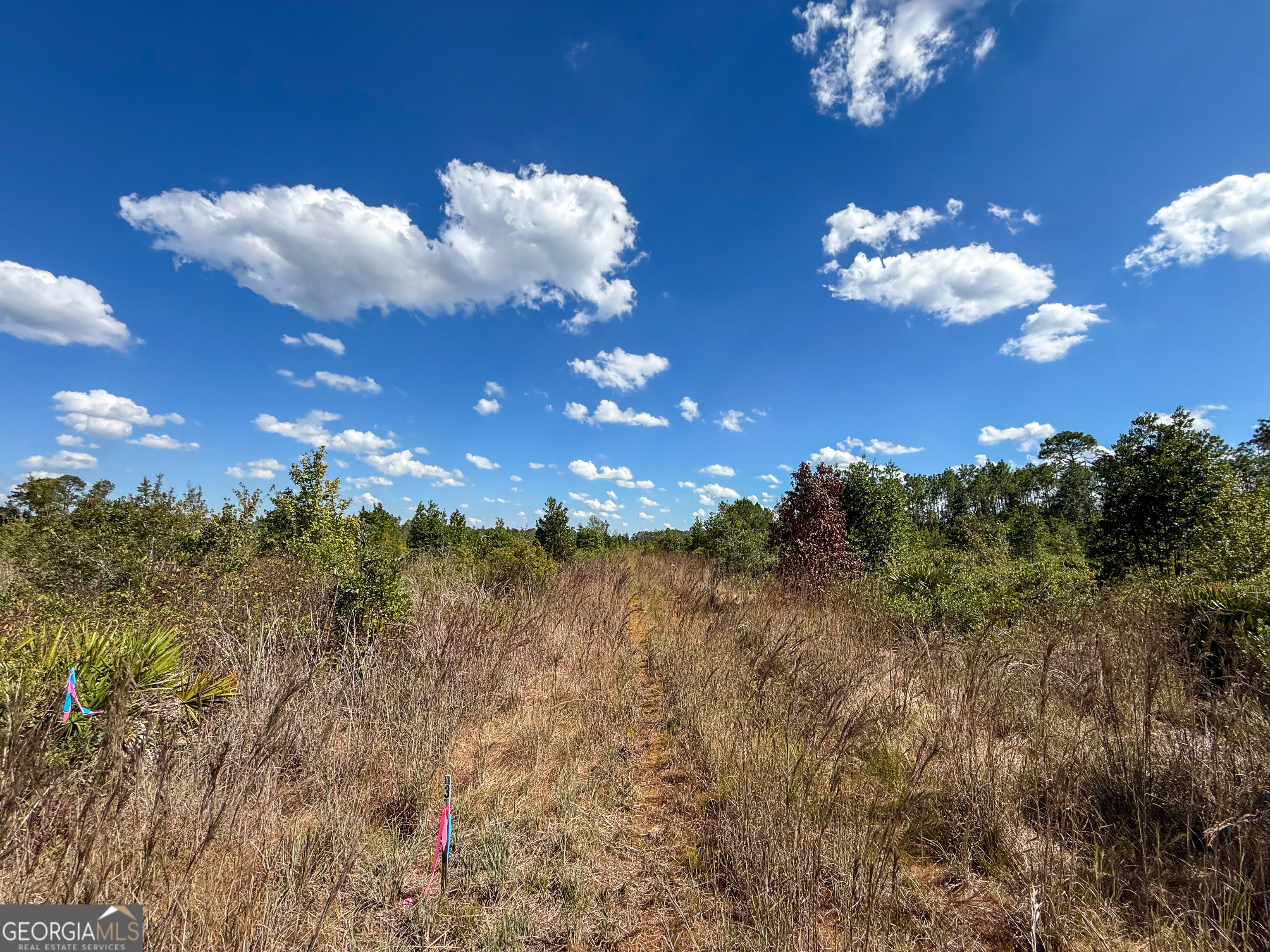 0 Highway 84 # 3 Property Photo 1