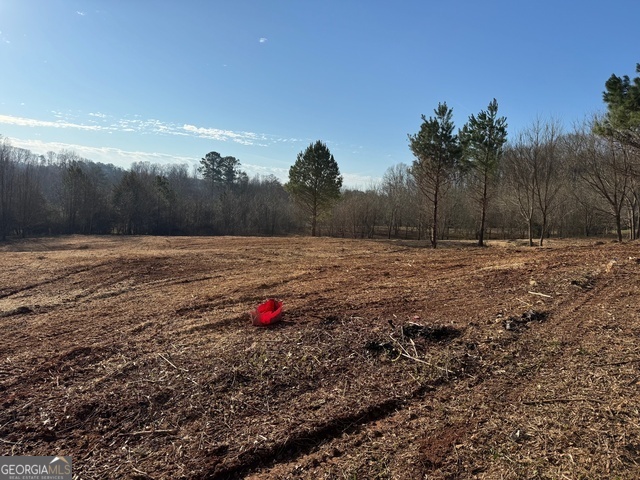 2772 Mount Zion Road Property Photo 1