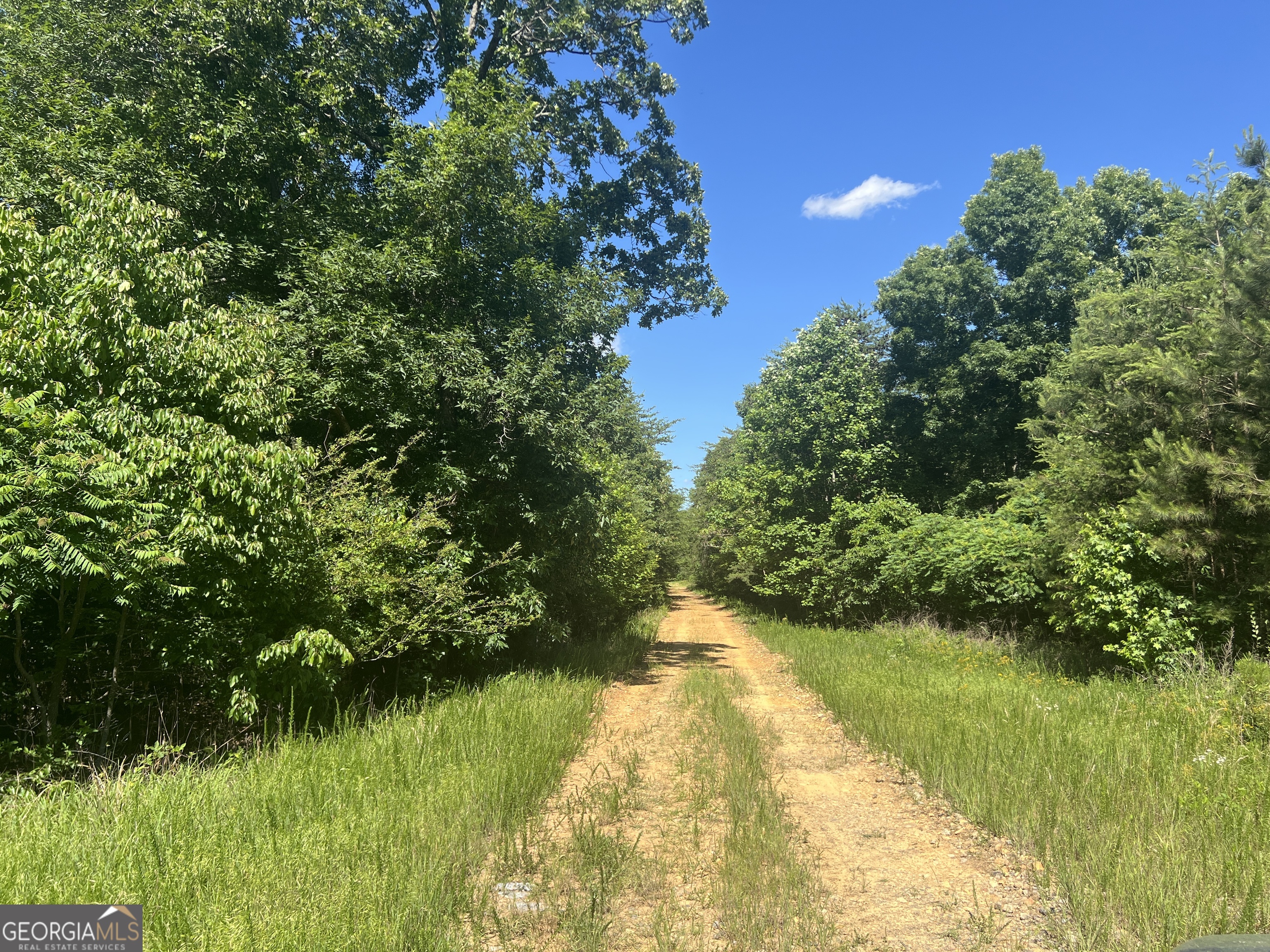0 Cherokee Hills Drive Property Photo 1