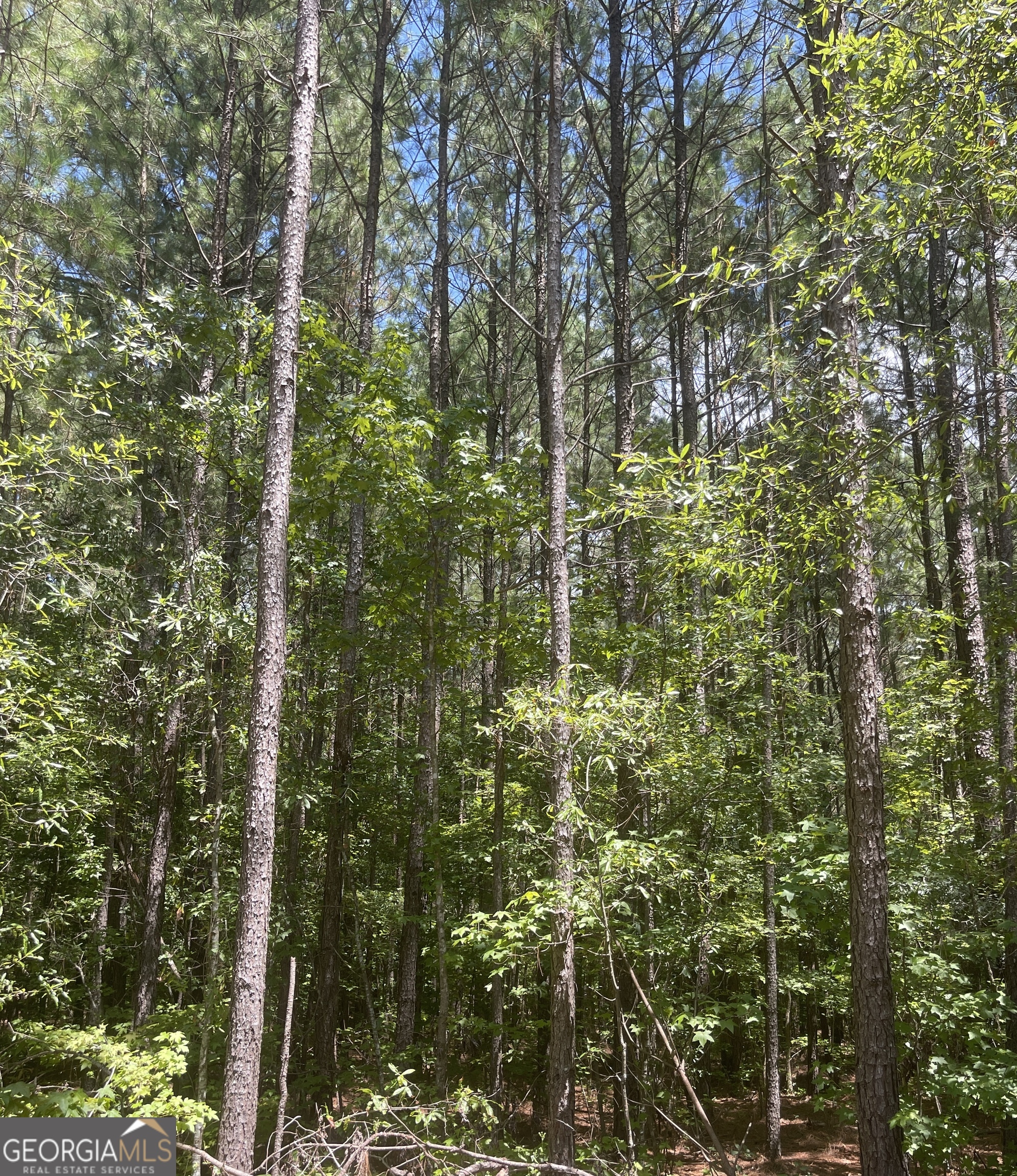 112 Benson Road Property Photo 9