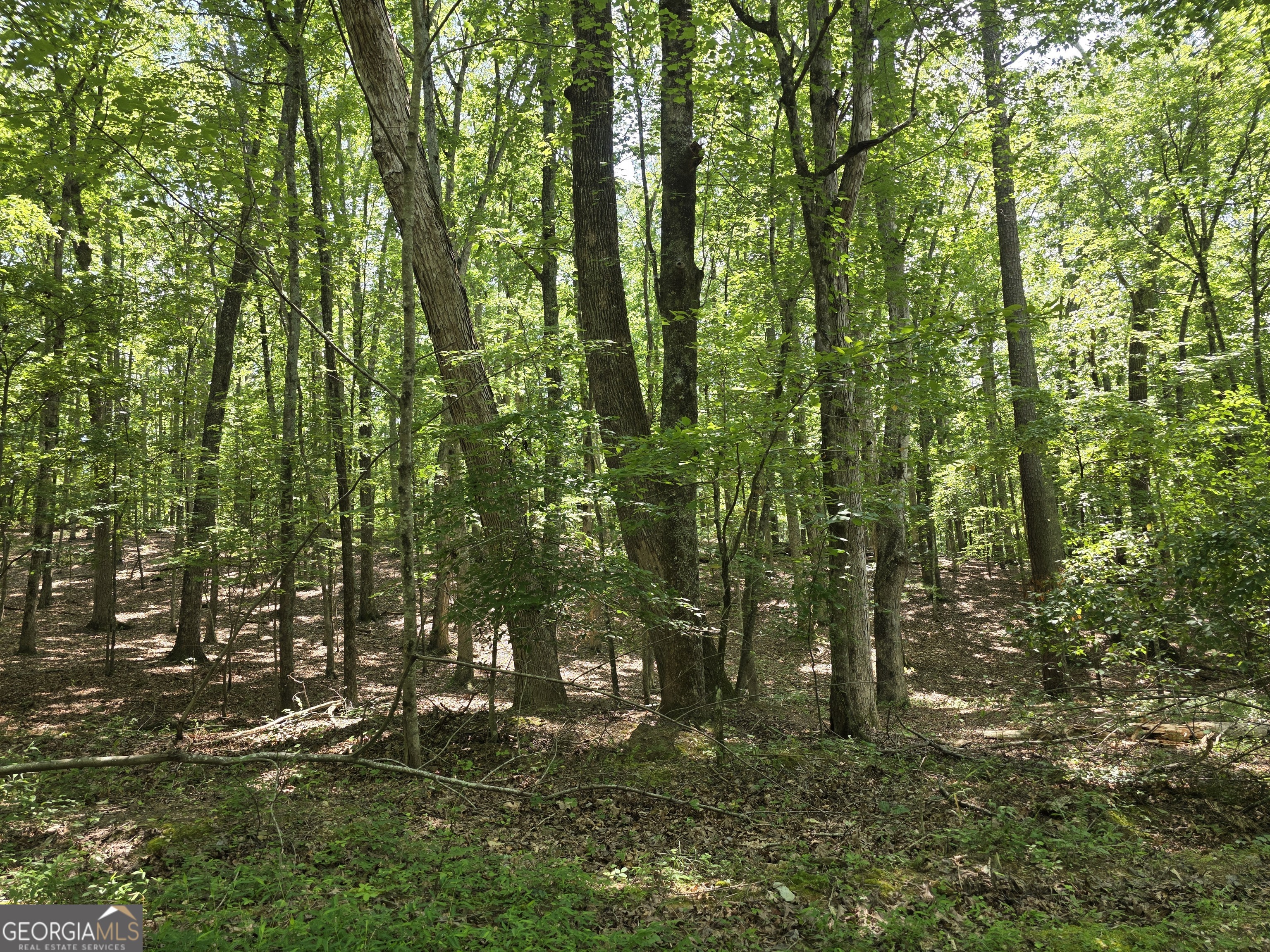 0 Cobb Mountain Road Property Photo 1