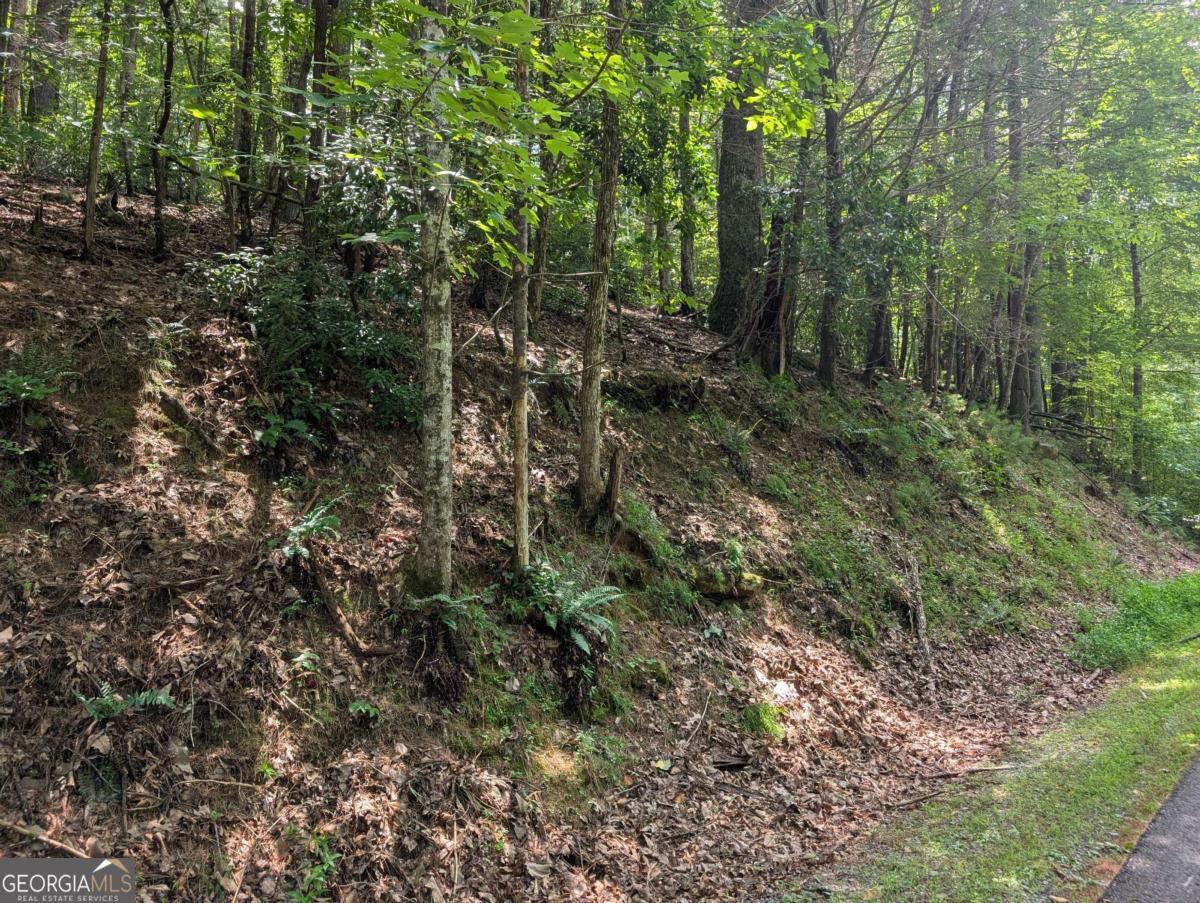 LOT P1 Goldmine Drive