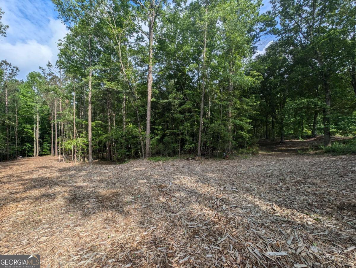 379 Marvin Land Lane Property Photo 1