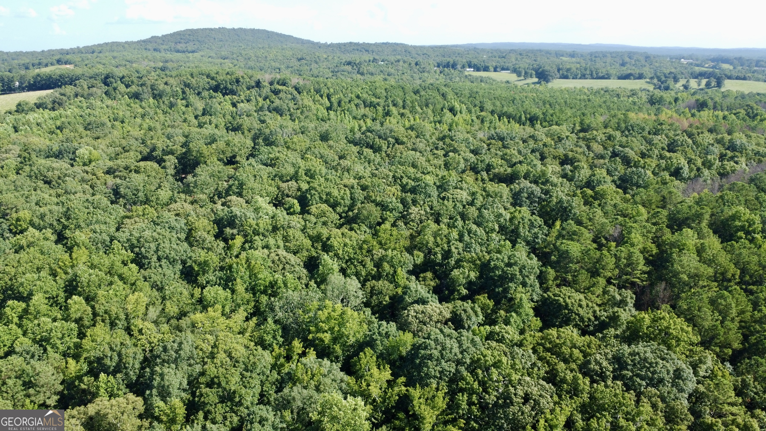 621 Rance Foster Road Property Photo 11
