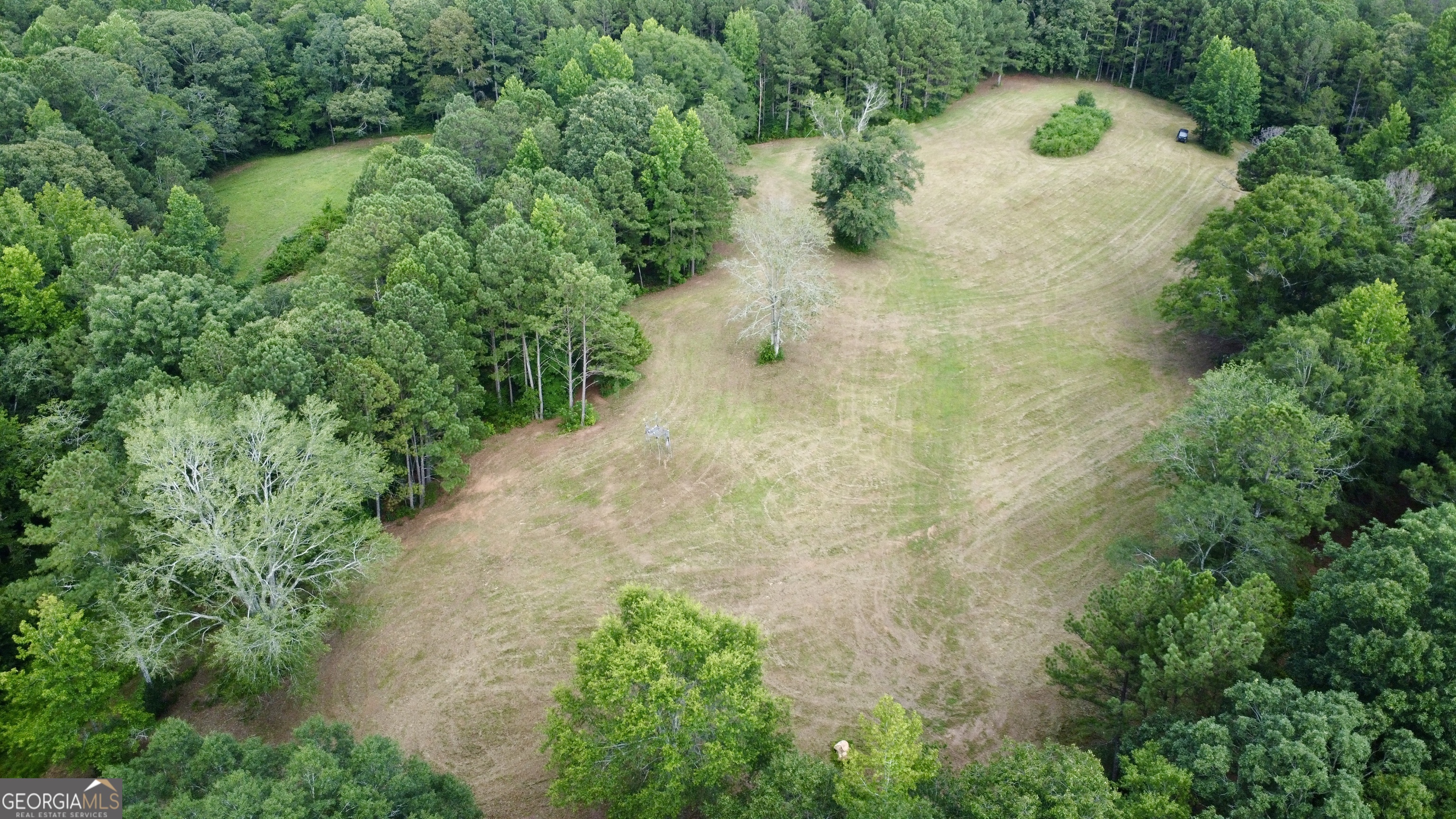 621 Rance Foster Road Property Photo 14