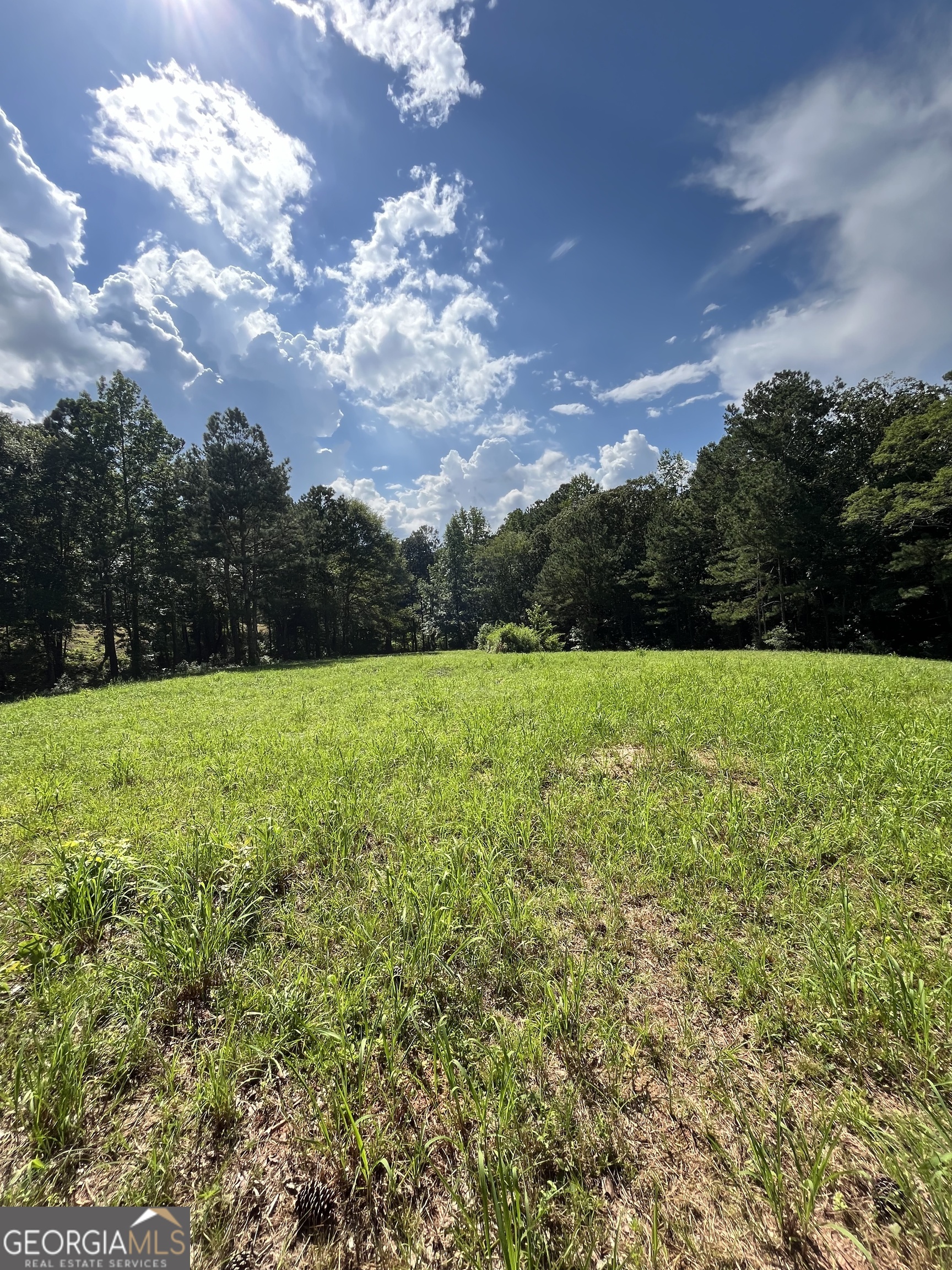 621 Rance Foster Road Property Photo 18