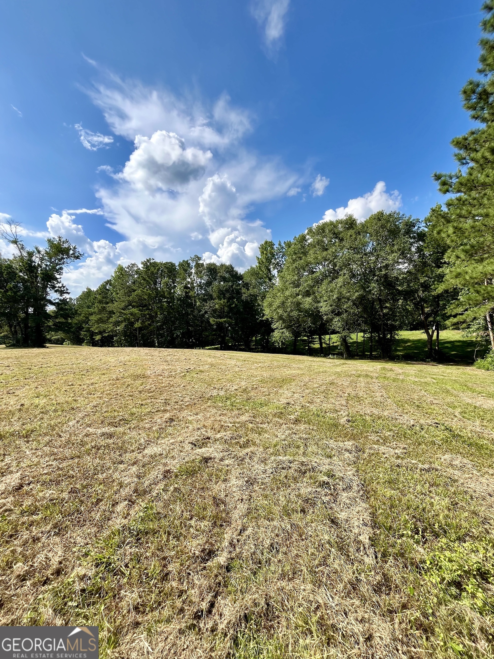 621 Rance Foster Road Property Photo 21