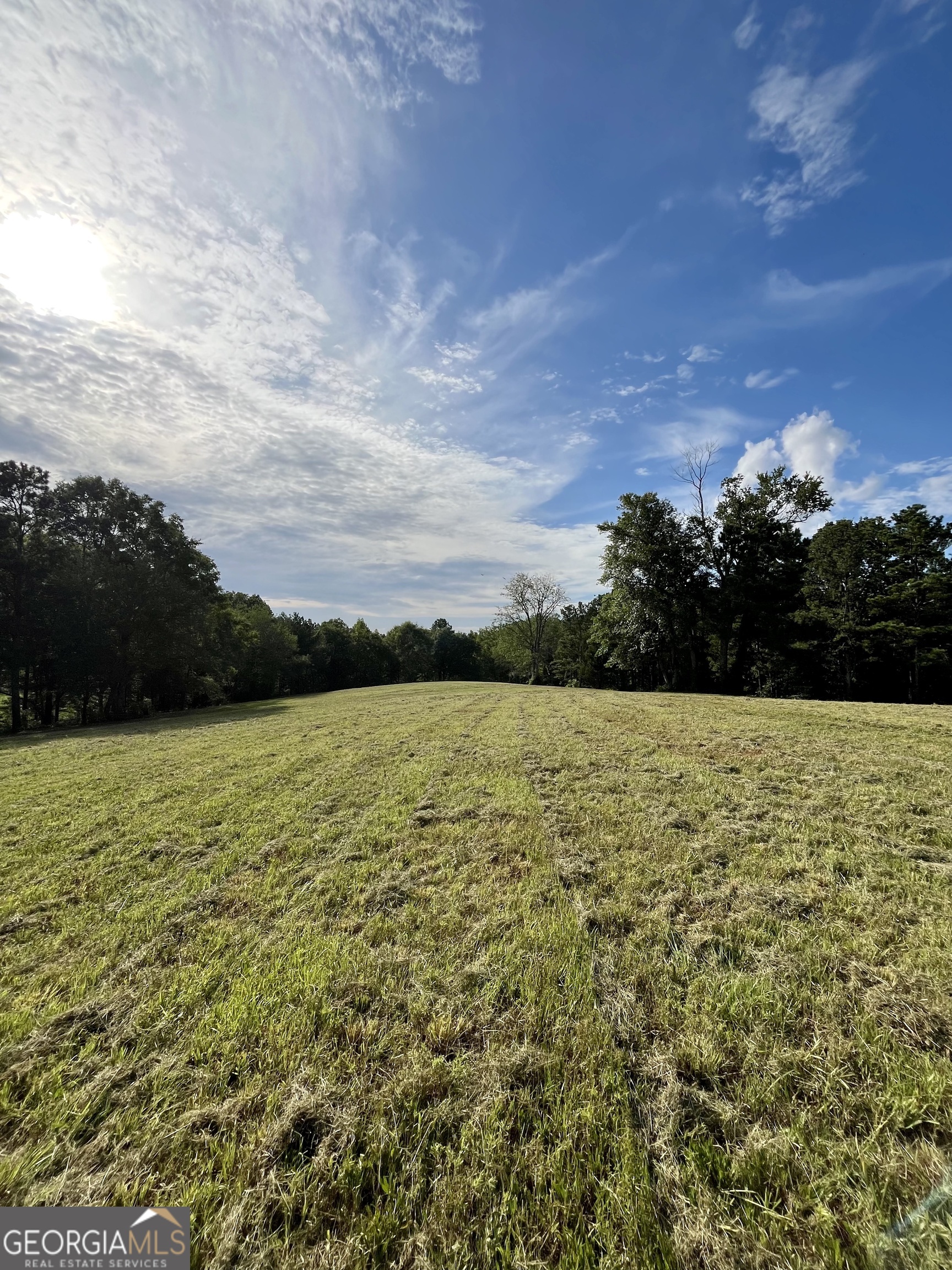 621 Rance Foster Road Property Photo 31