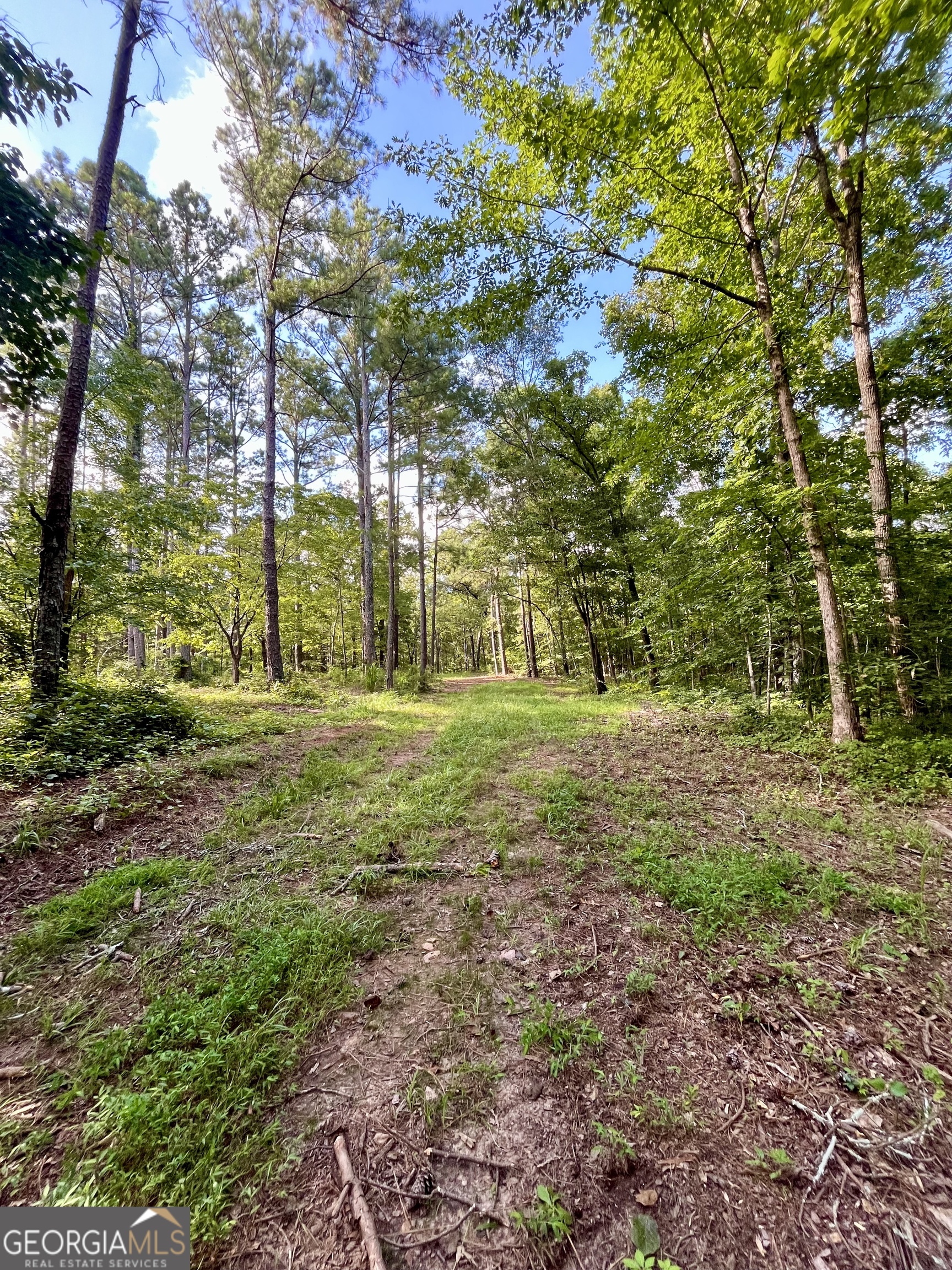 621 Rance Foster Road Property Photo 33