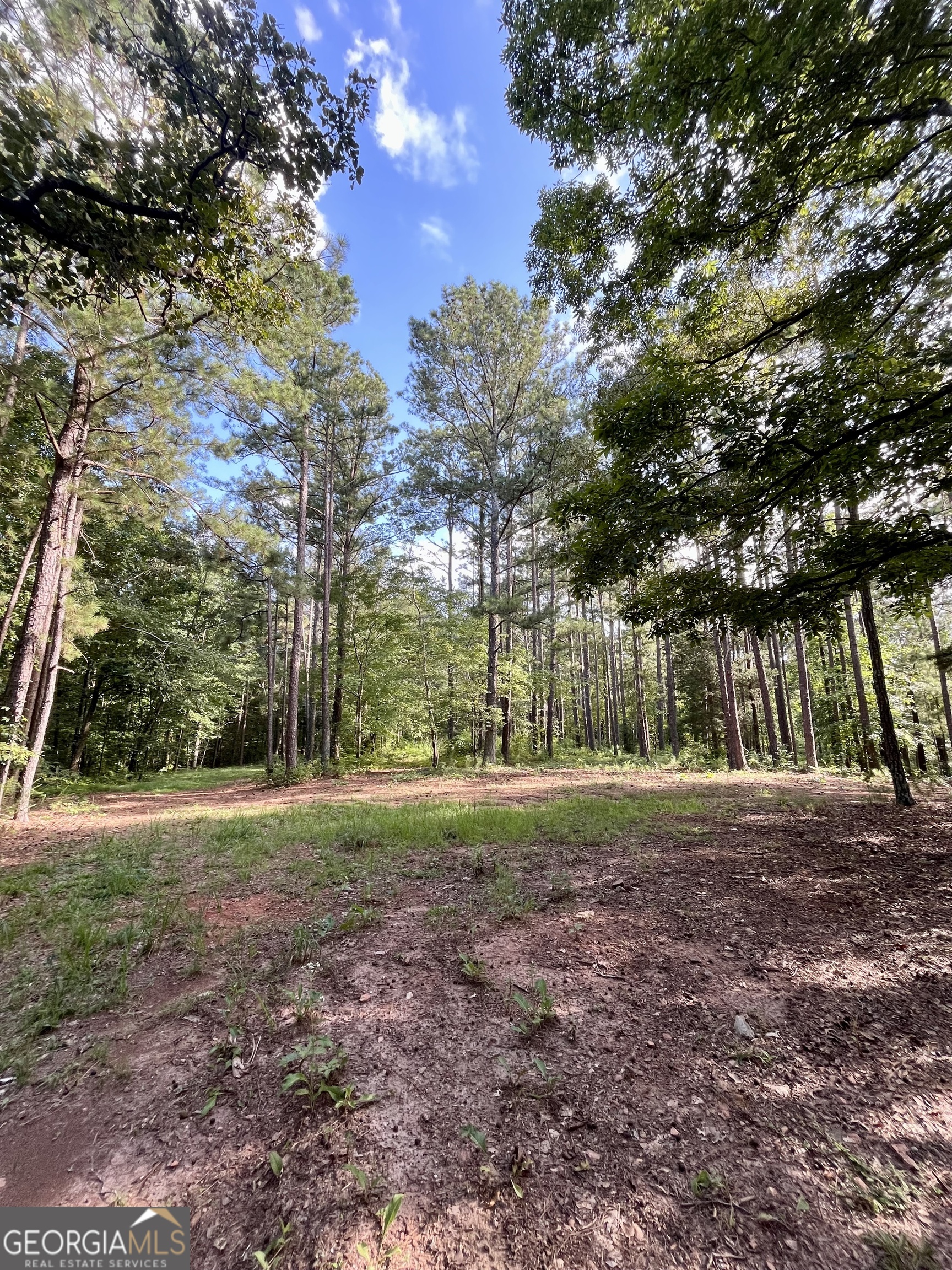 621 Rance Foster Road Property Photo 34
