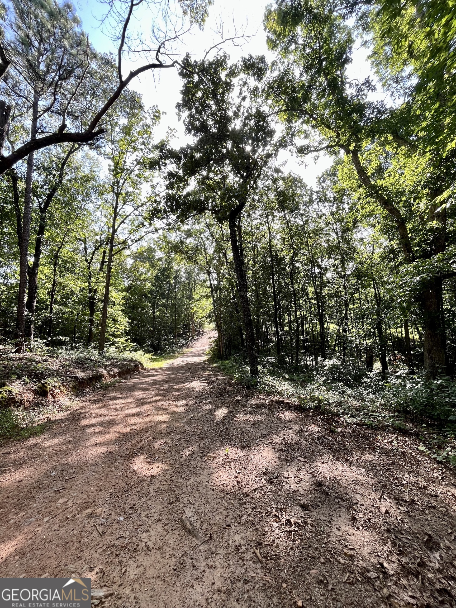621 Rance Foster Road Property Photo 49