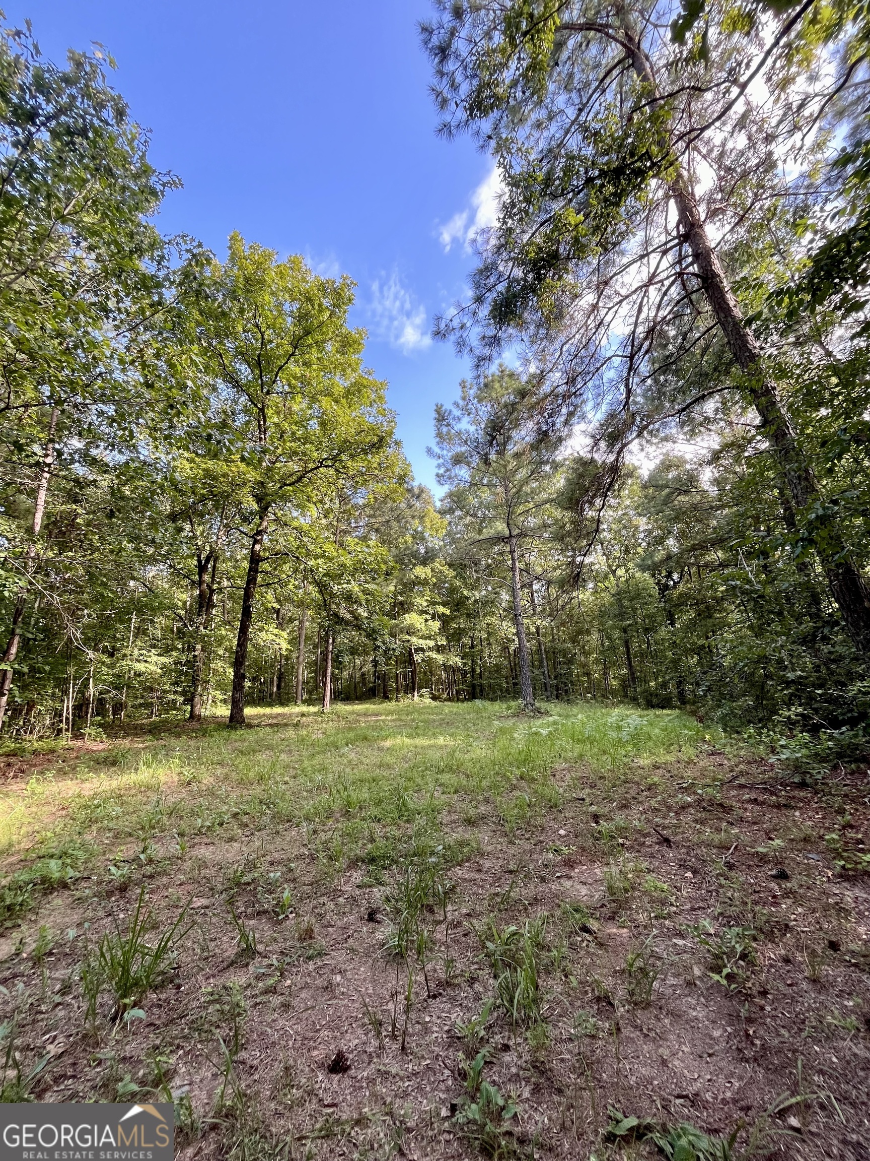 621 Rance Foster Road Property Photo 54