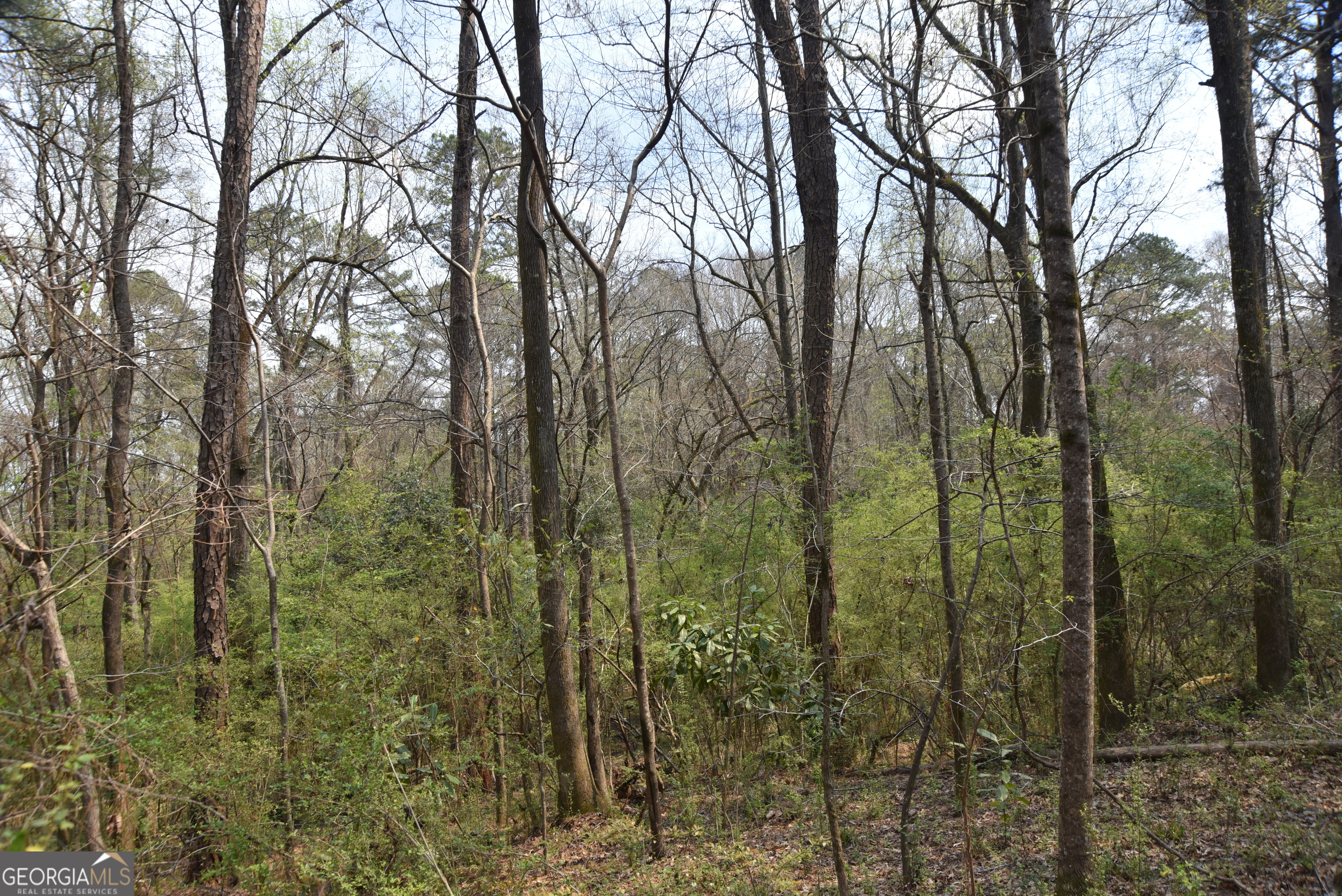 0 Main Property Photo 5