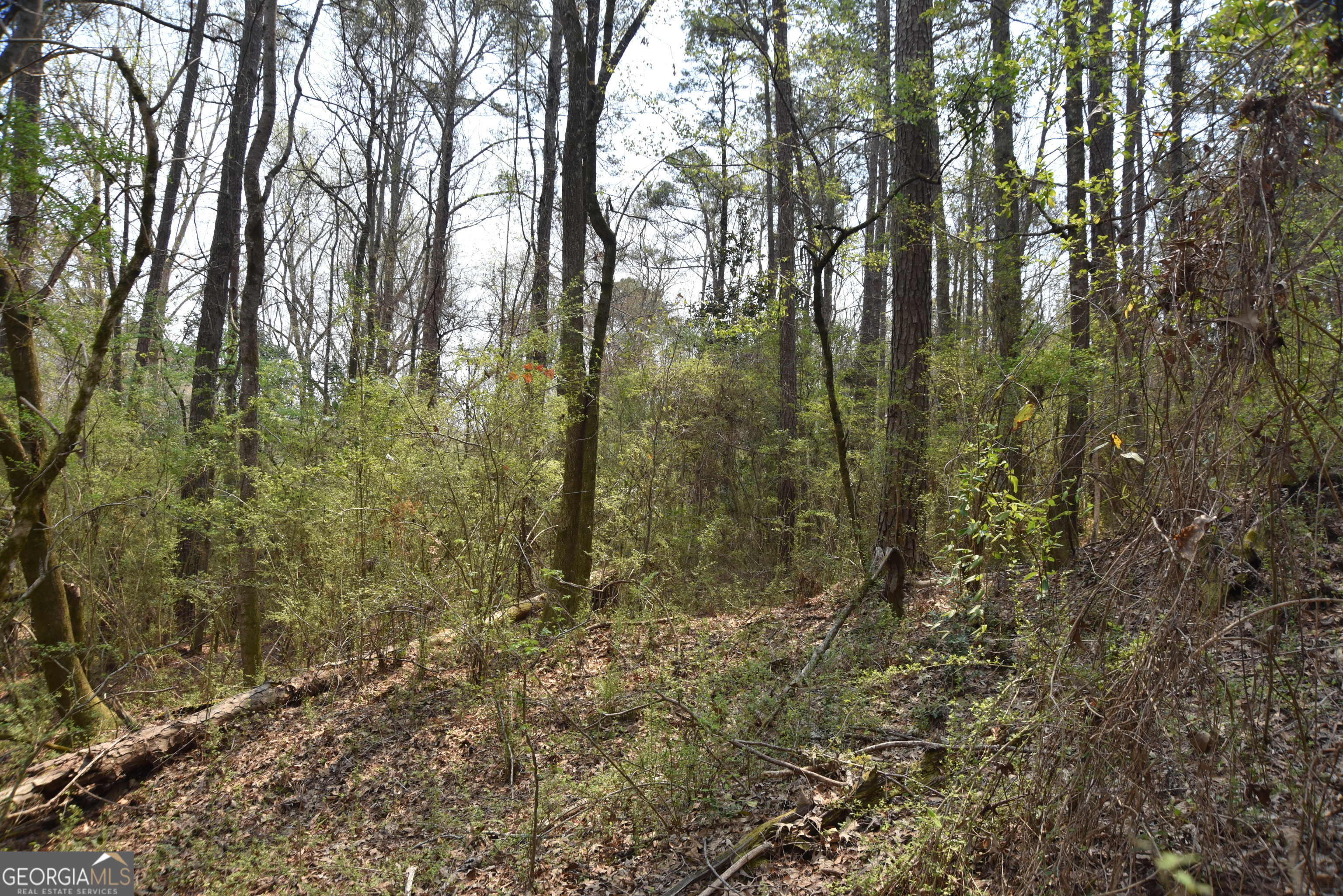 0 Main Property Photo 6