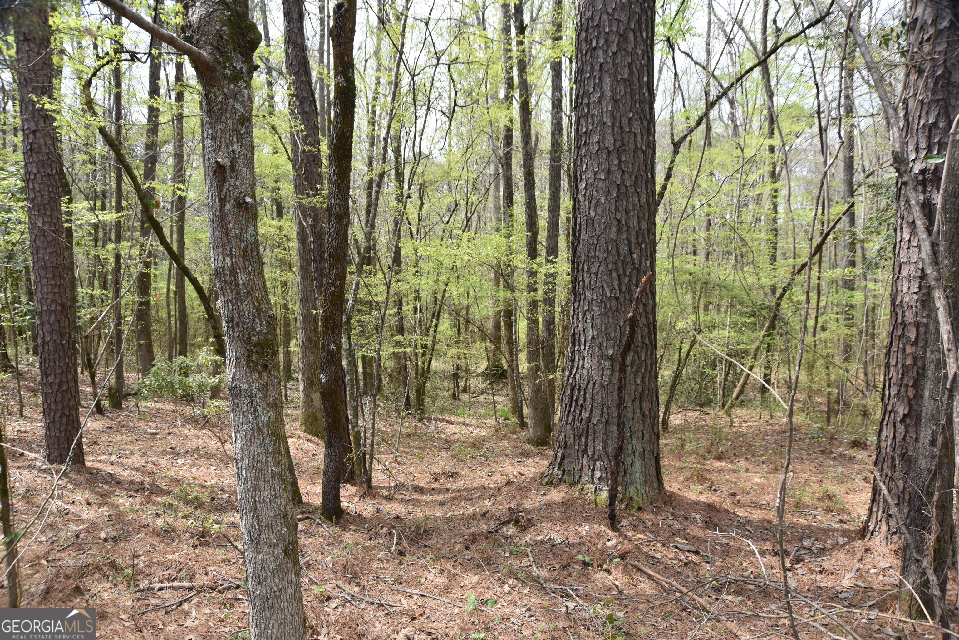 0 Main Property Photo 22