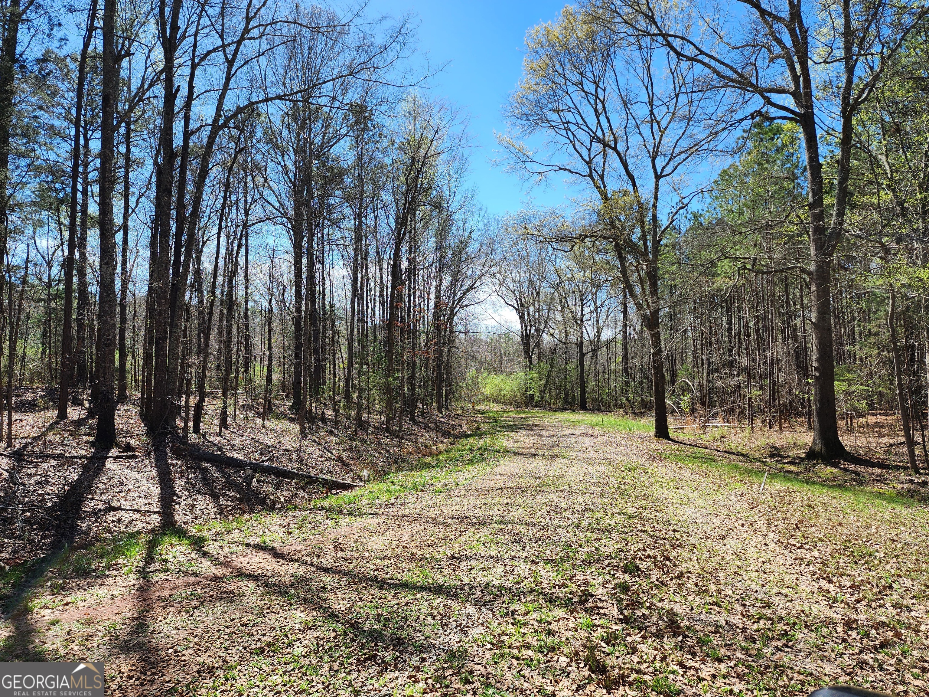 0 Deer Ridge Drive Property Photo 1