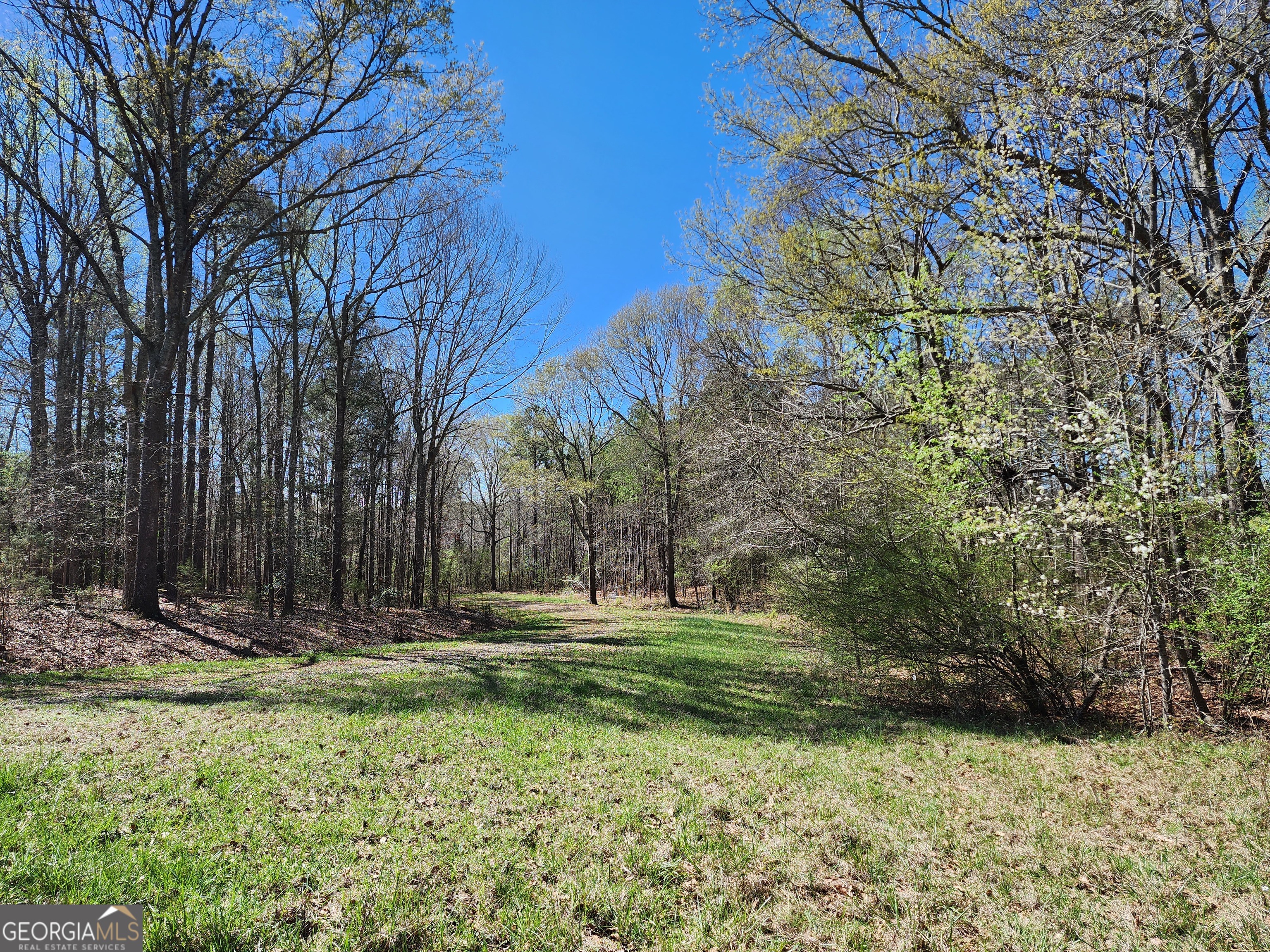 0 Deer Ridge Drive Property Photo 4