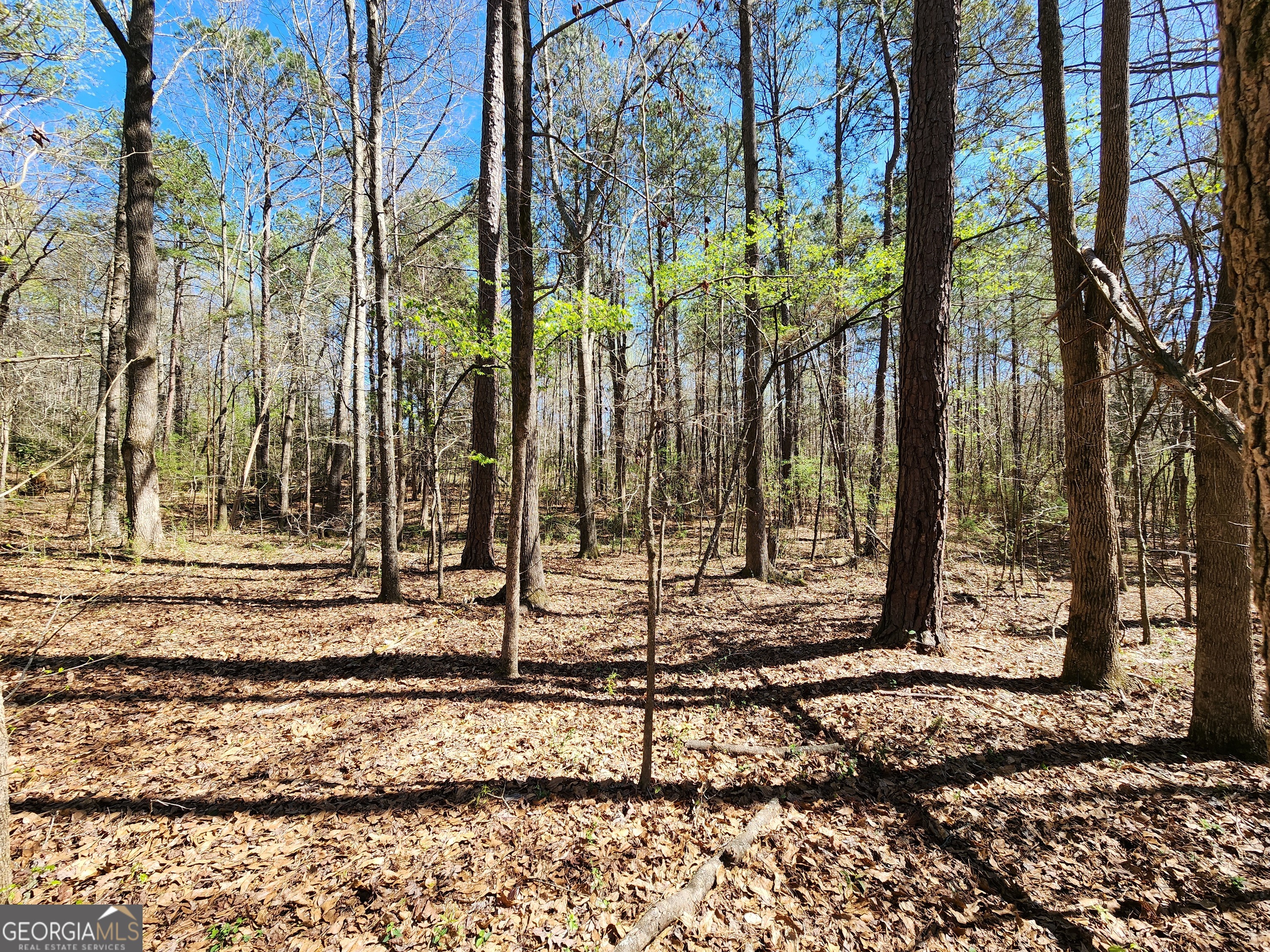 0 Deer Ridge Drive Property Photo 6
