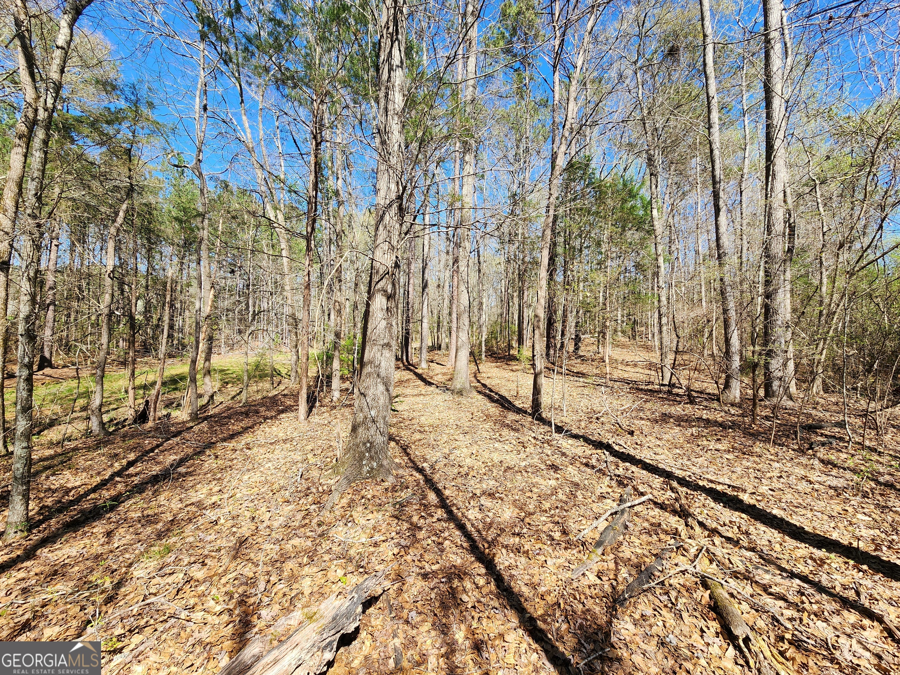0 Deer Ridge Drive Property Photo 7