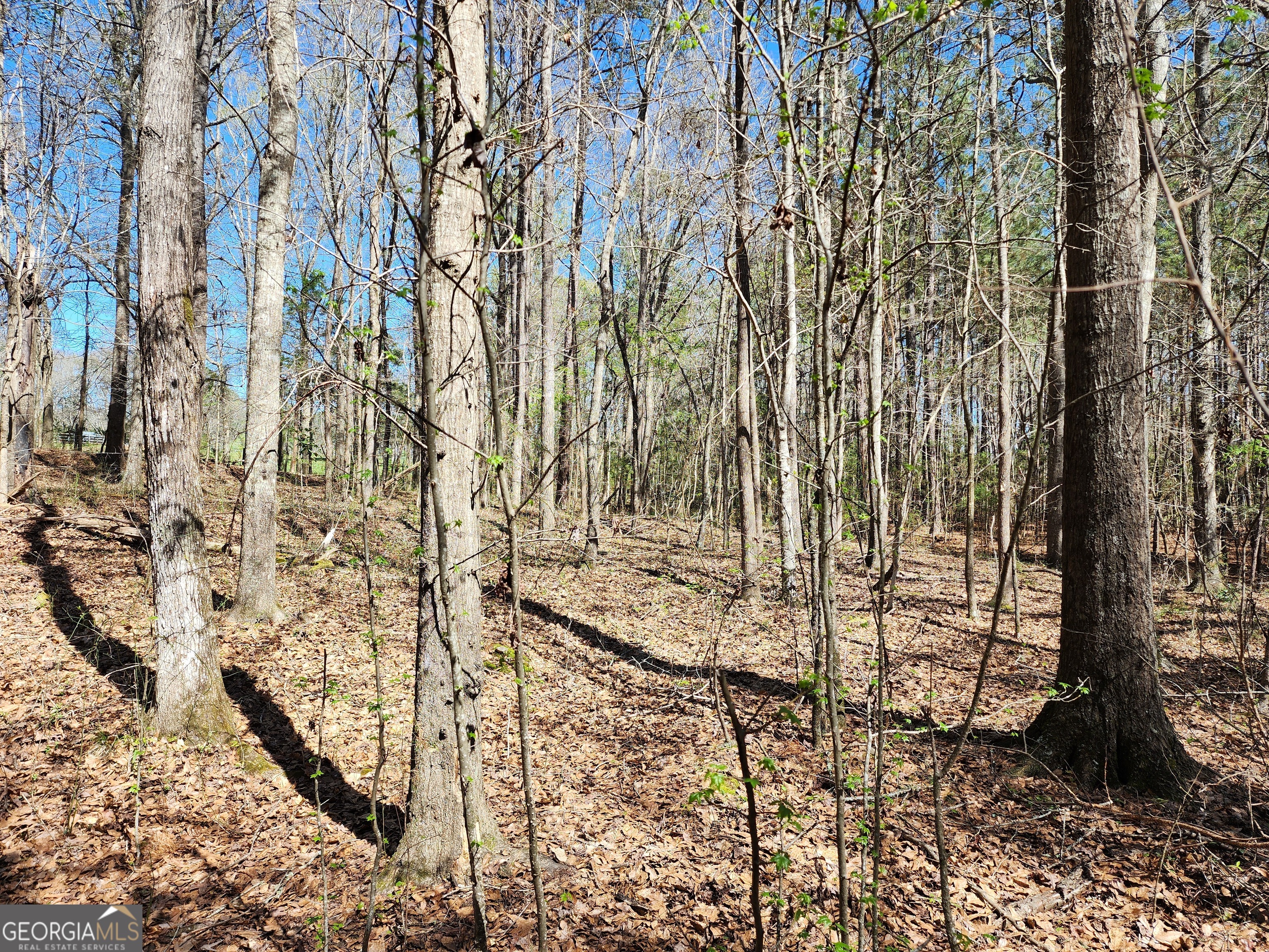 0 Deer Ridge Drive Property Photo 8