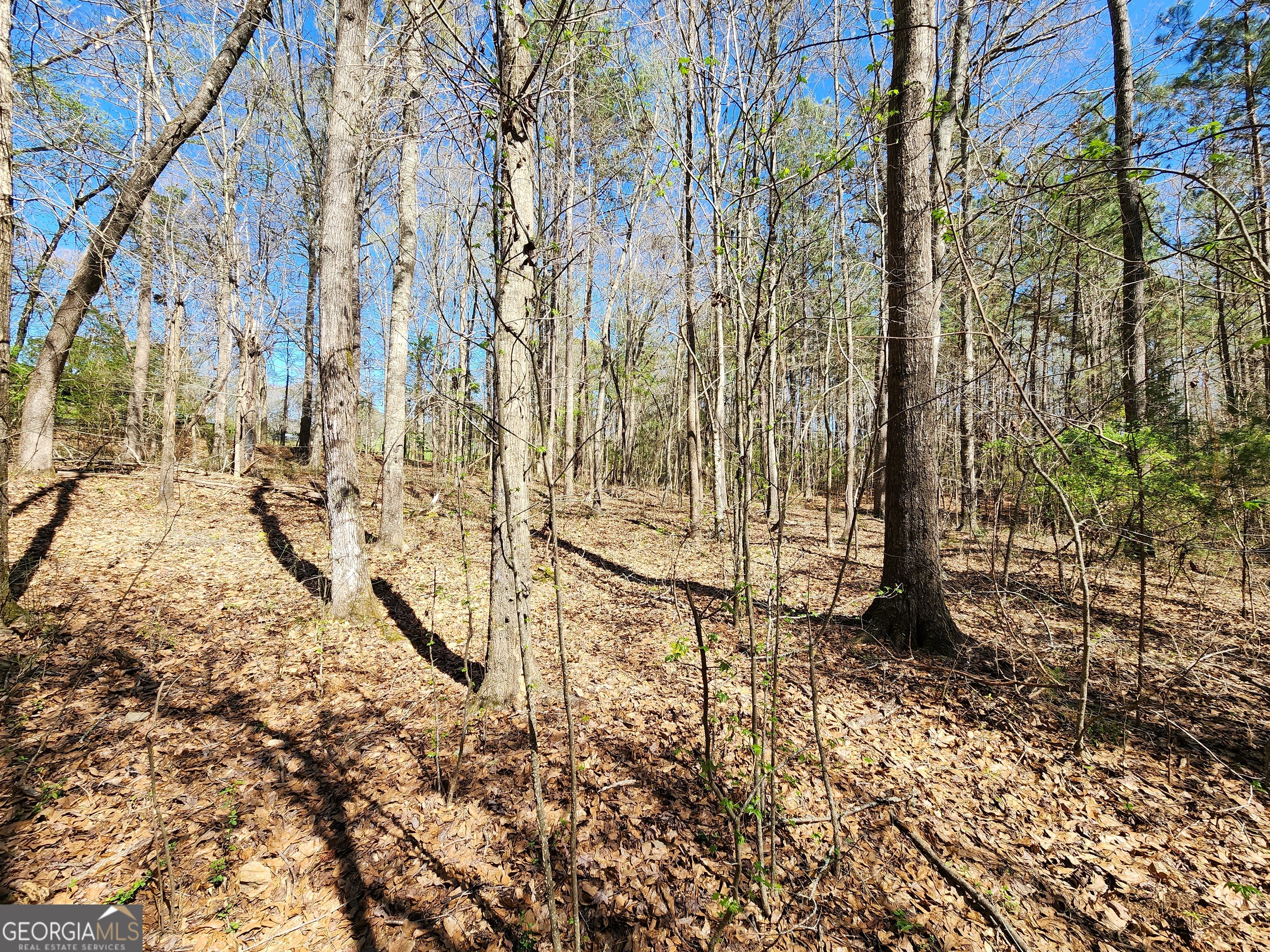 0 Deer Ridge Drive Property Photo 9