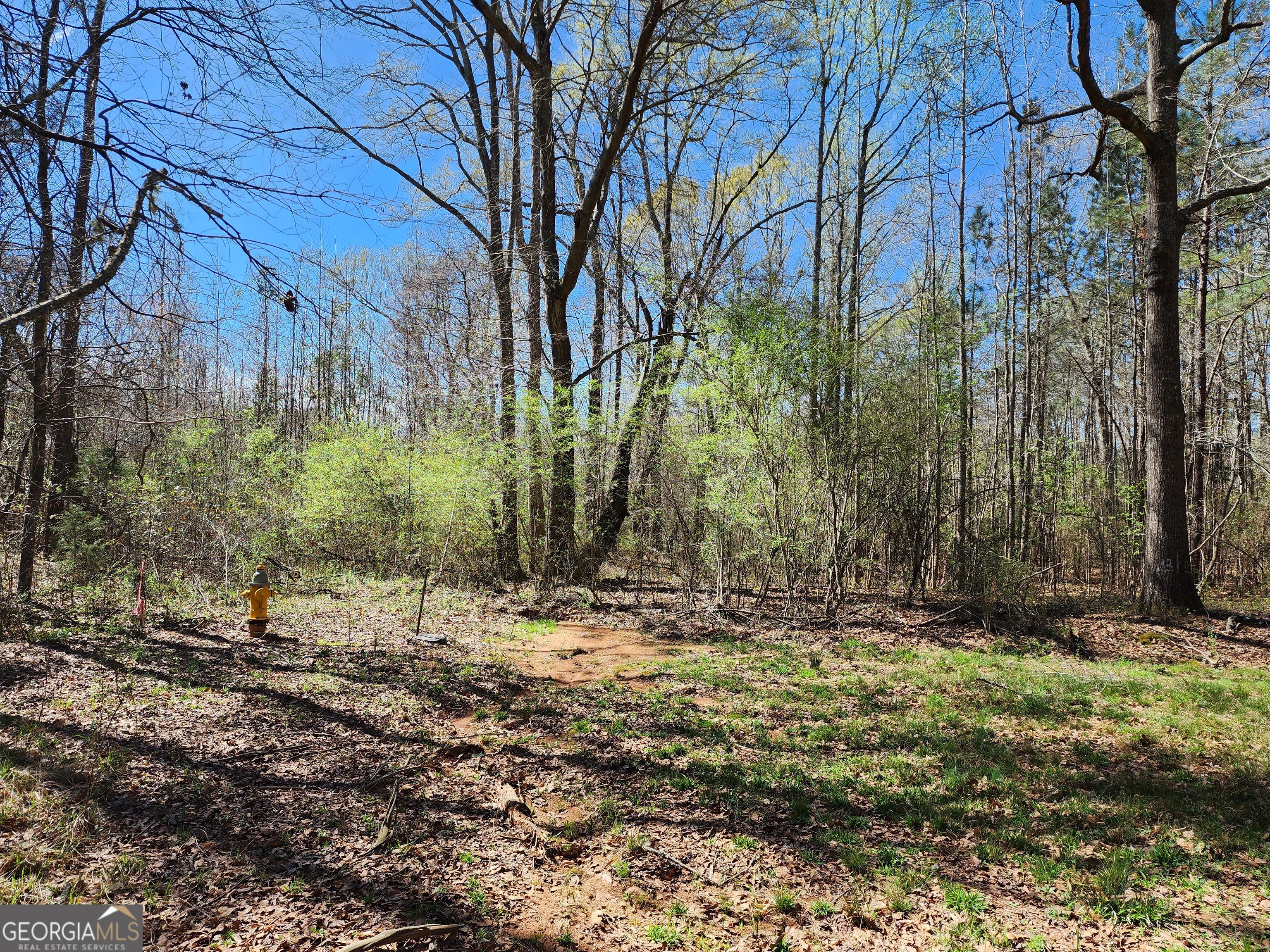 0 Deer Ridge Drive Property Photo 10