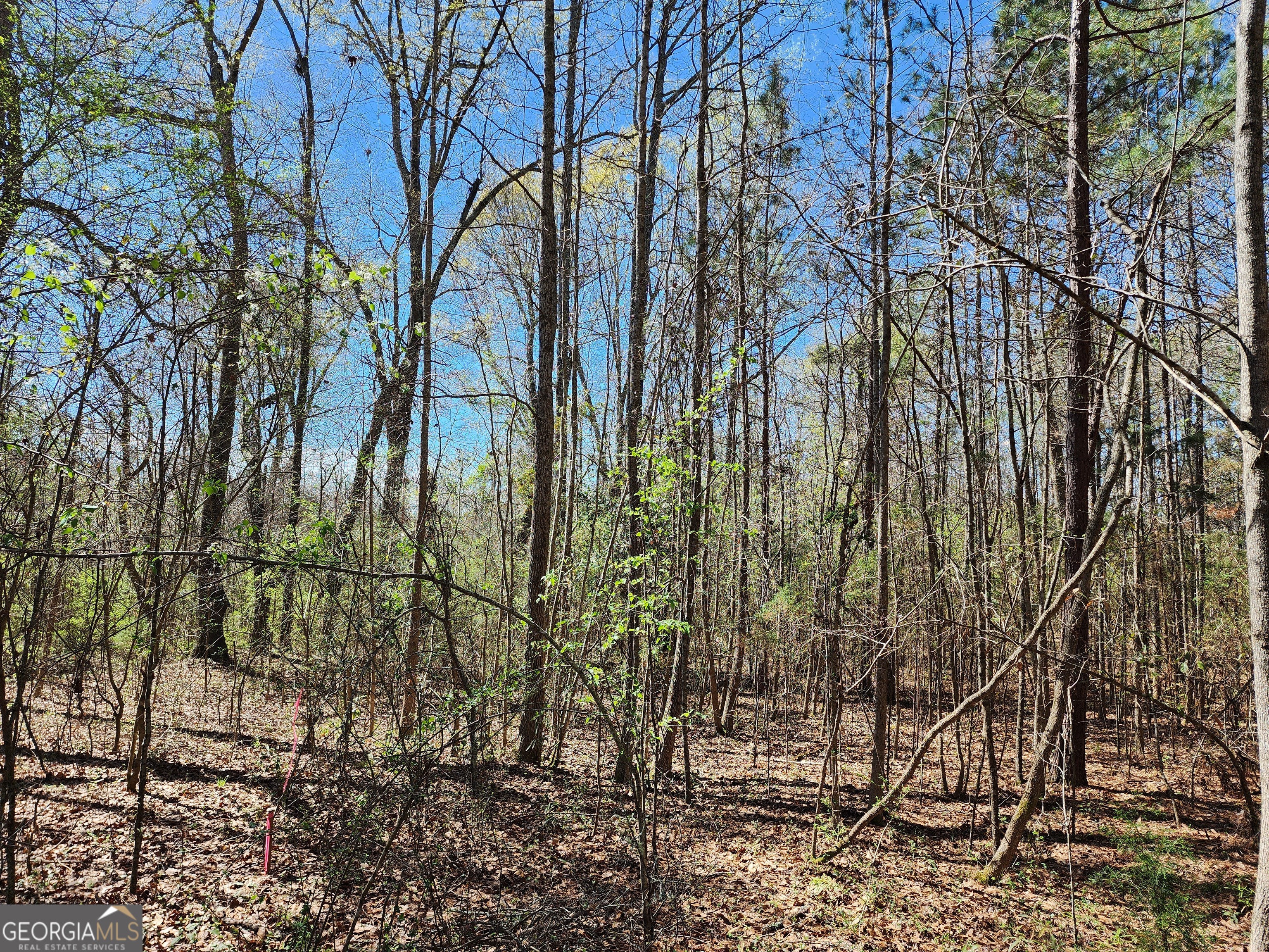 0 Deer Ridge Drive Property Photo 11