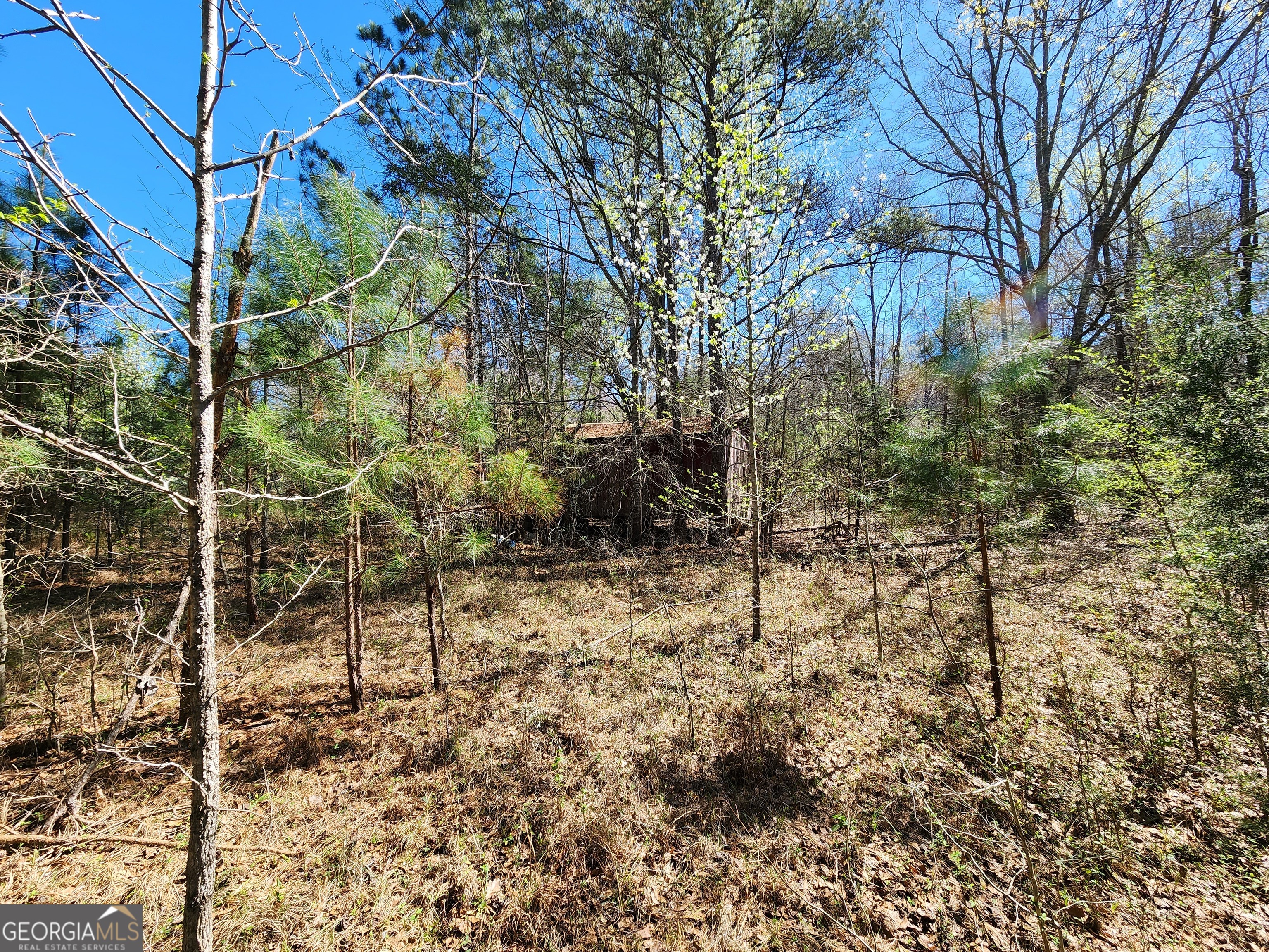 0 Deer Ridge Drive Property Photo 13