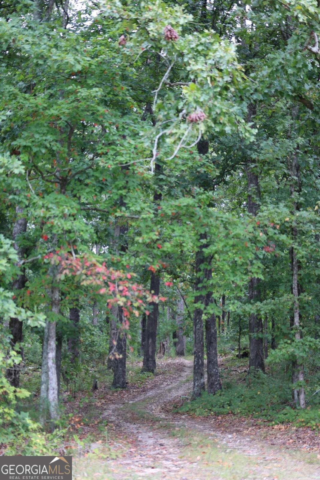 0 Tract 5 Highway 2 Property Photo 1