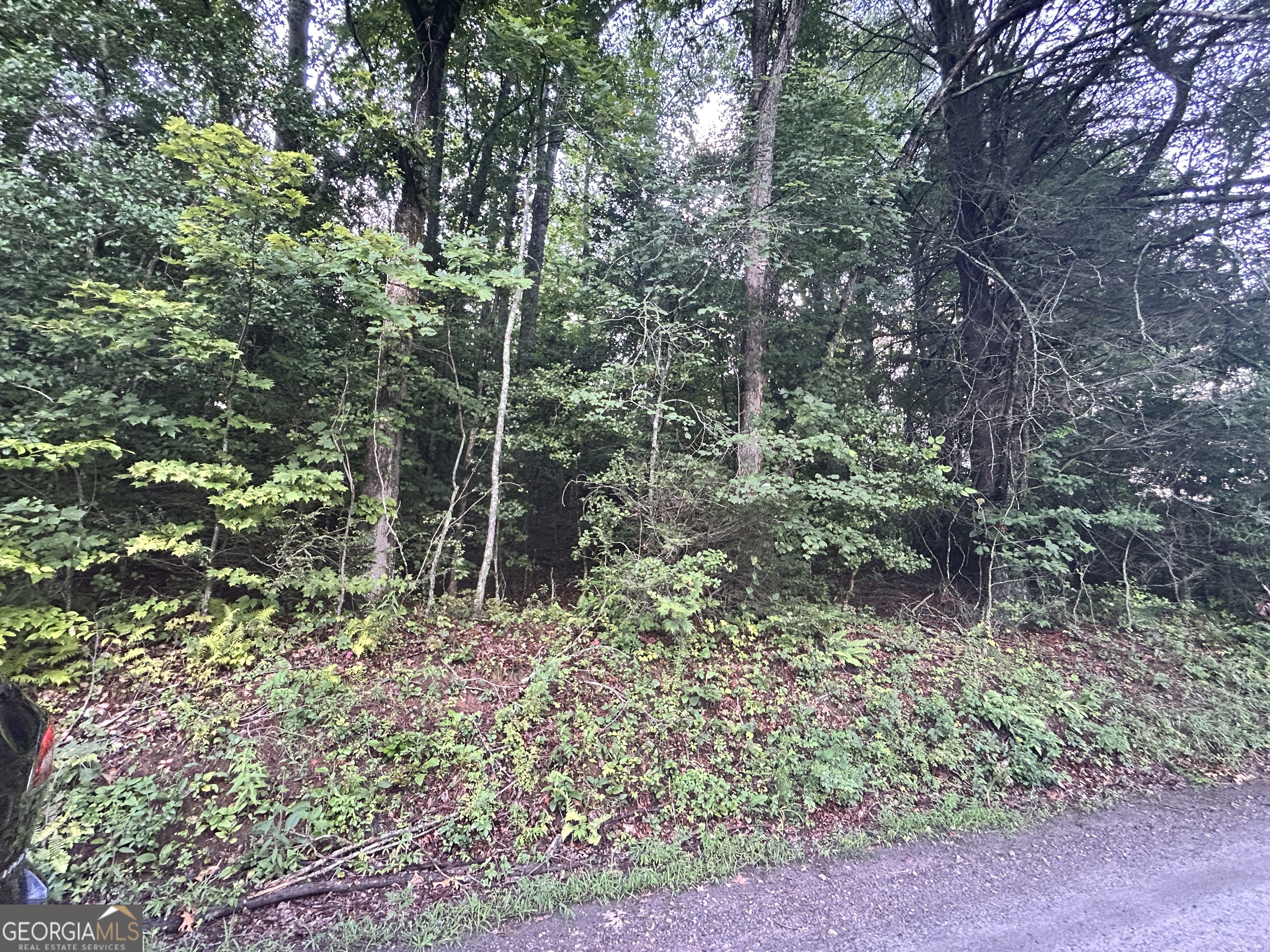0 Chastain Road Property Photo 1