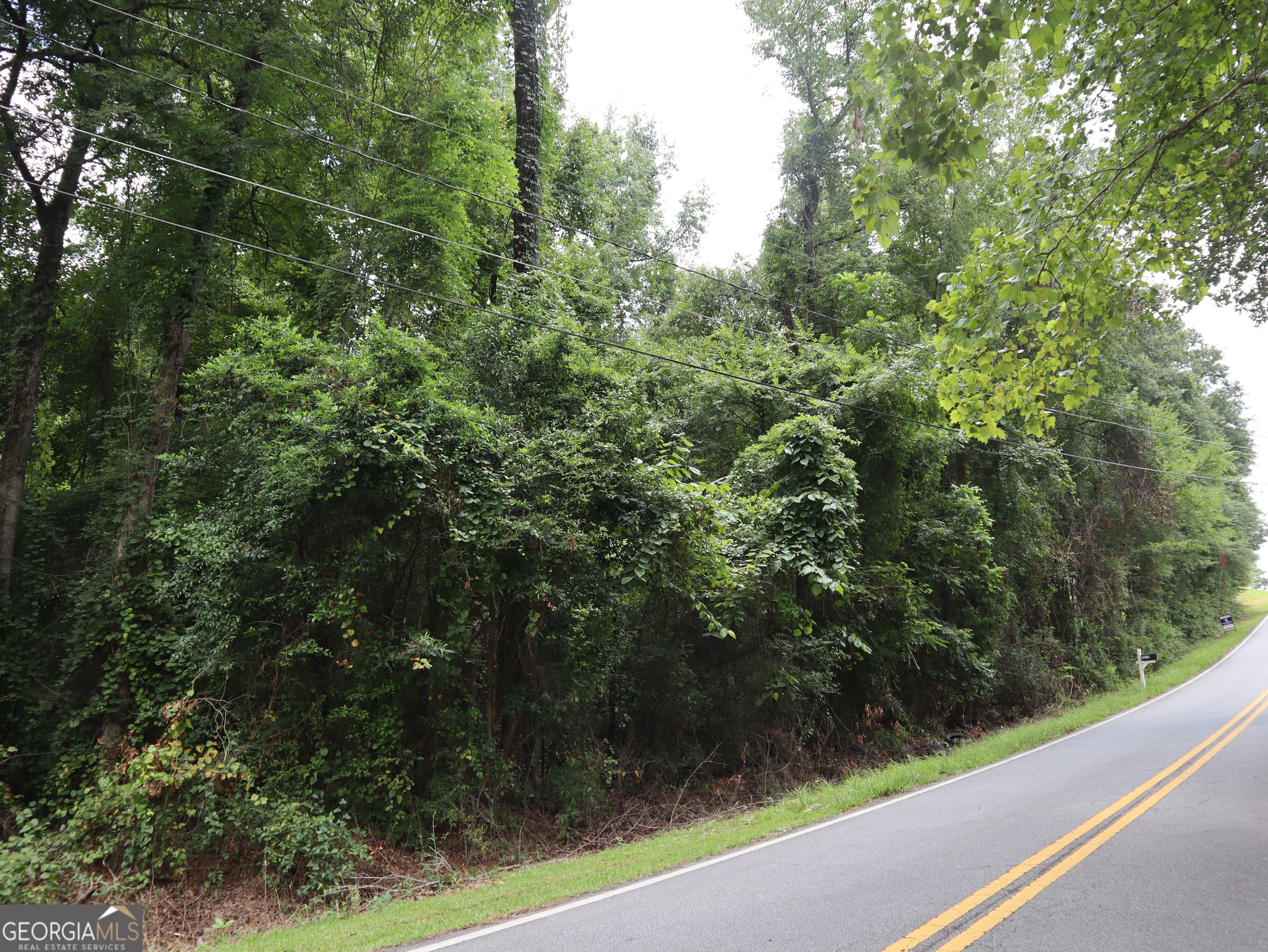 5524 Bankston Lake Road Property Photo 1