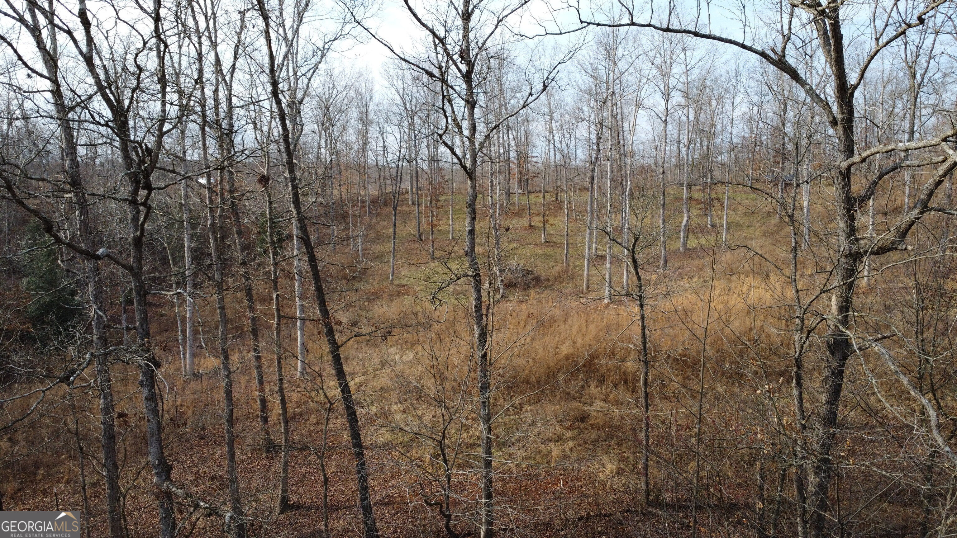 1.52 Acres Garrison Road Property Photo 5