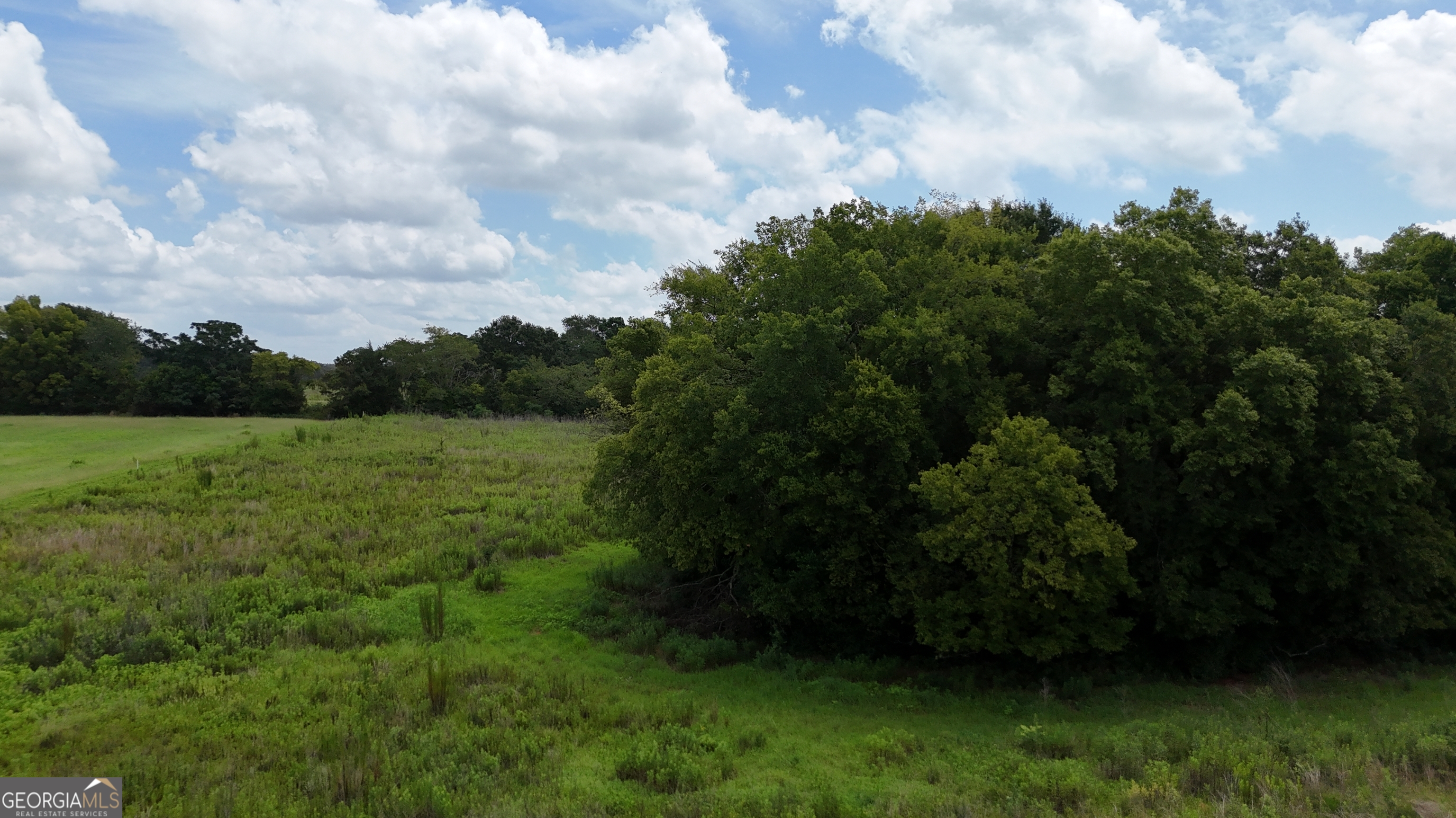 0 Carter Fish Pond Road Property Photo 2