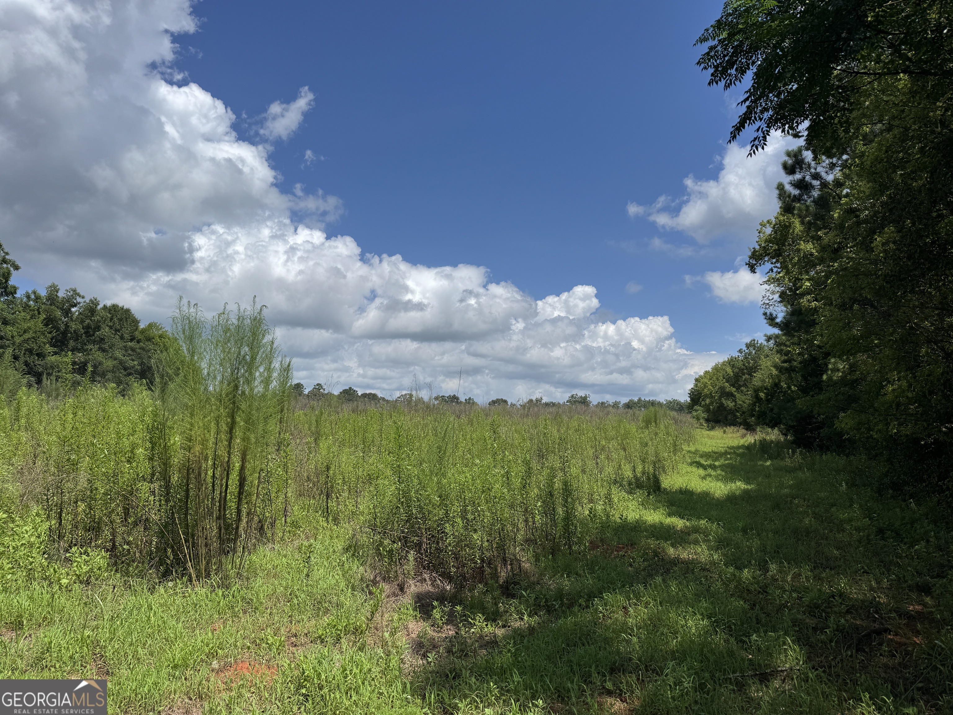 0 Carter Fish Pond Road Property Photo 6