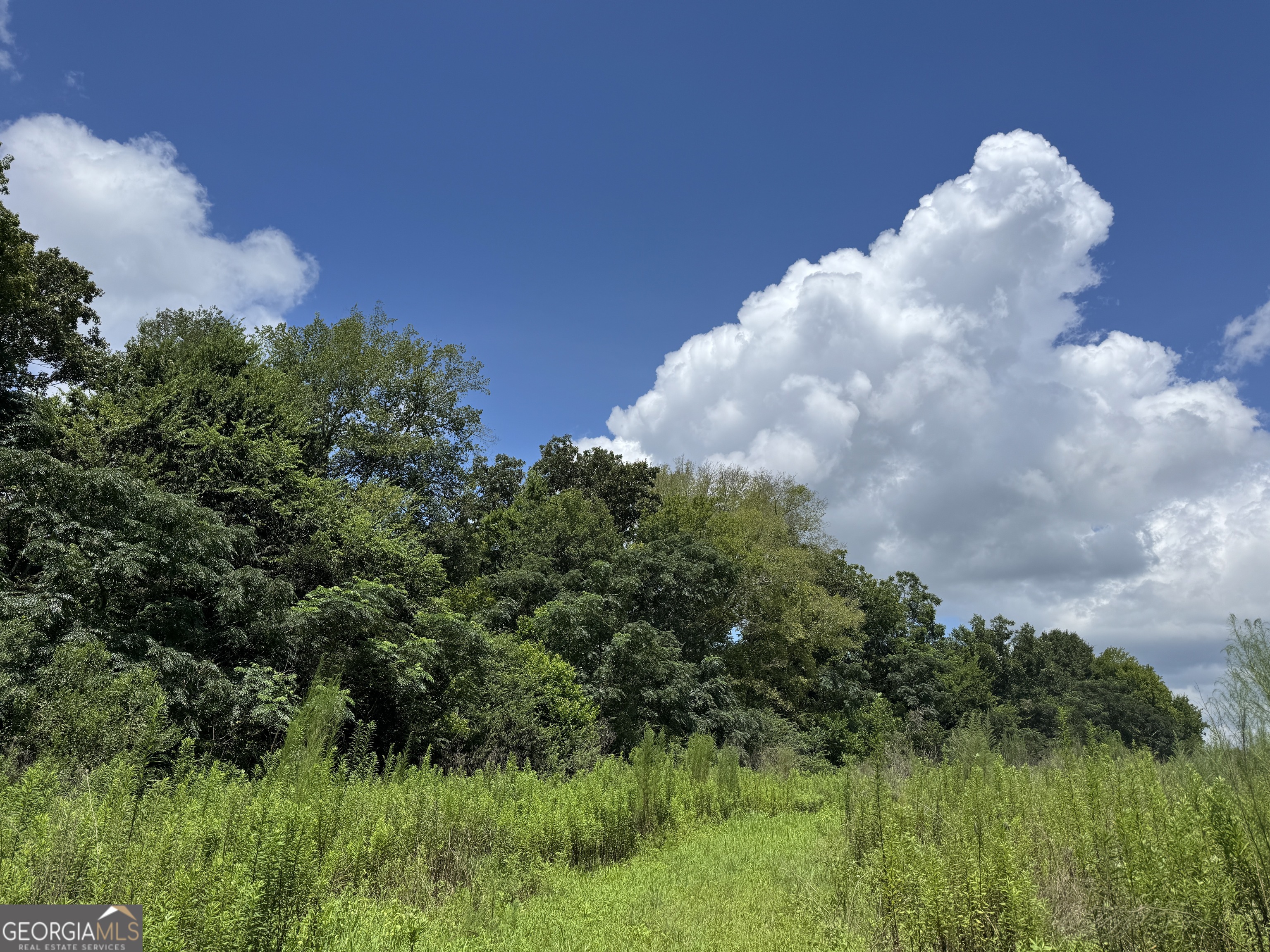 0 Carter Fish Pond Road Property Photo 8