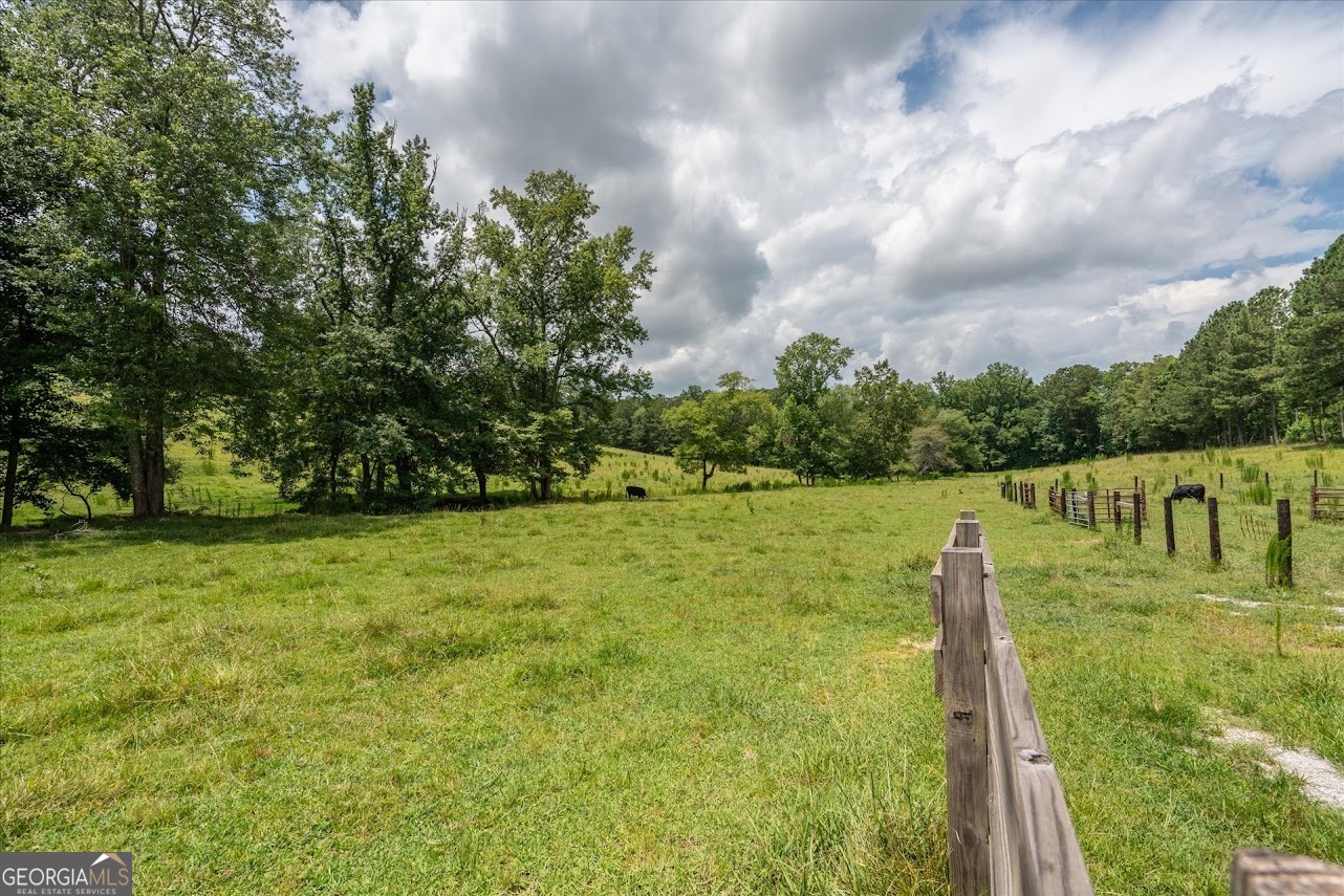 0 County Road 19 Property Photo 15